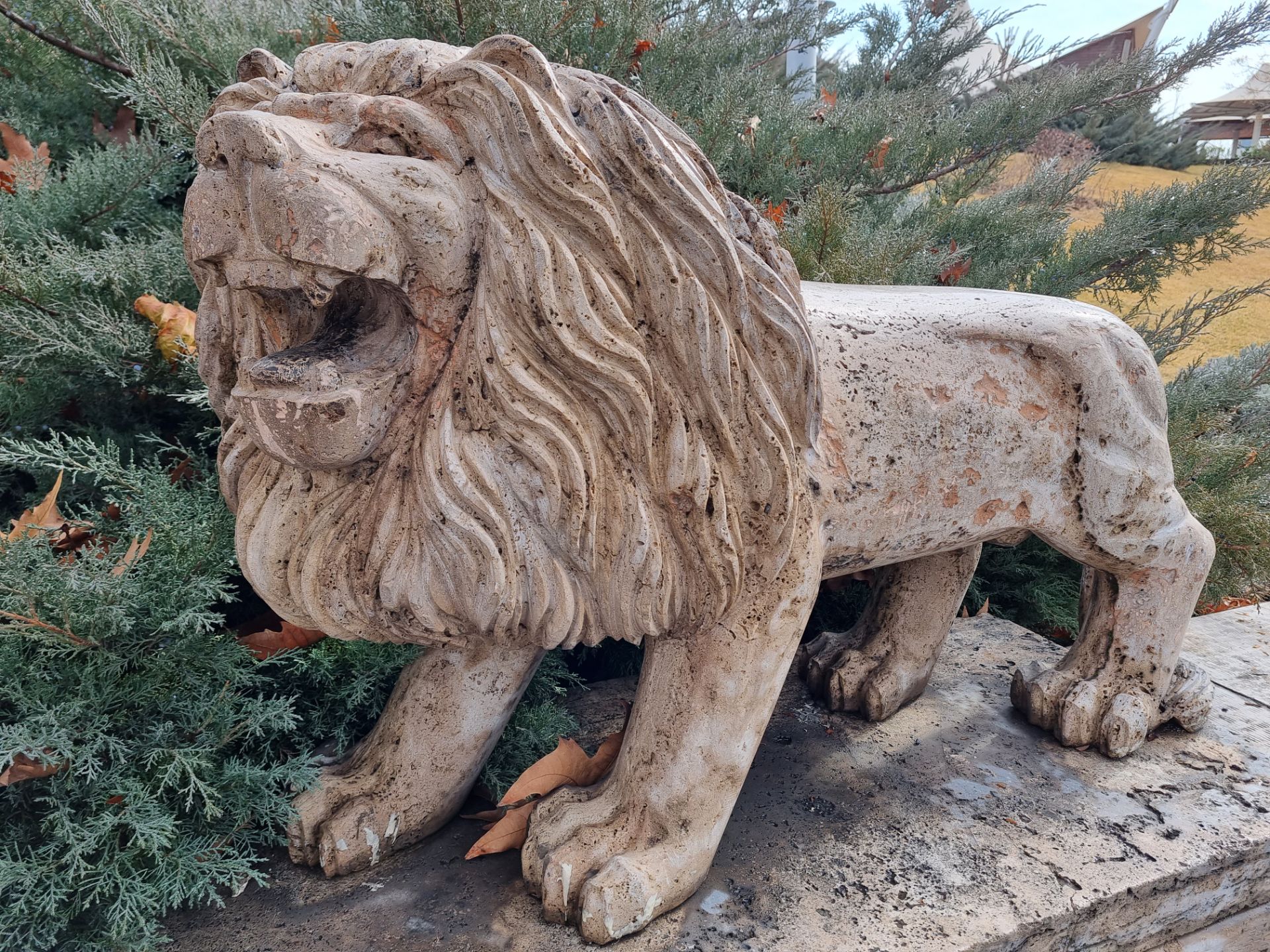 نمونه عکس دوربین اصلی گلکسی S21 در روز - مجسمه شیر سنگی