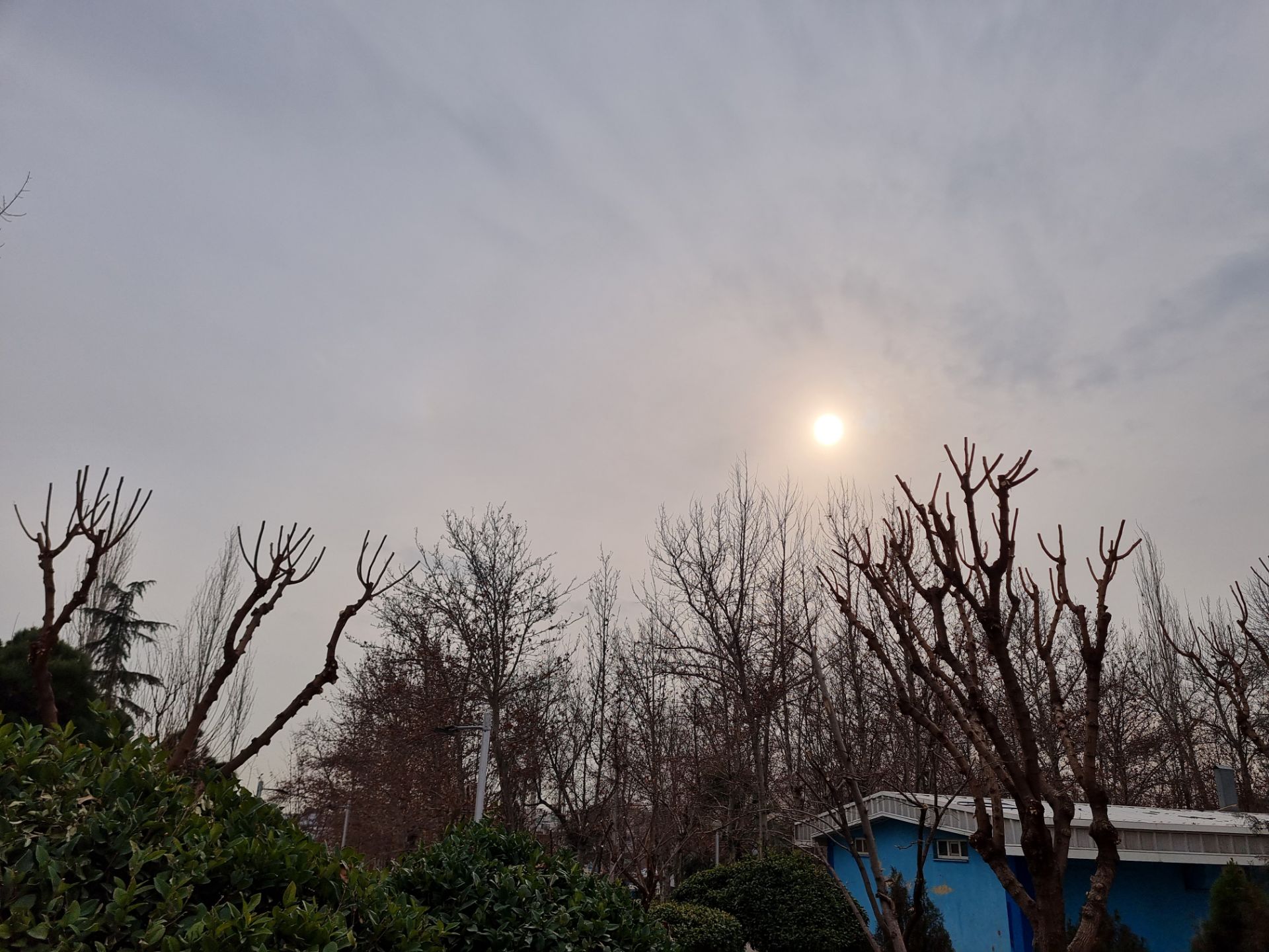 نمونه عکس دوربین اصلی گلکسی S21 در روز - آسمان غروب