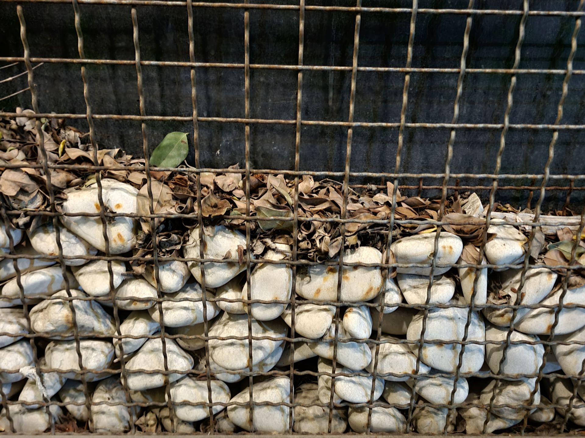 نمونه عکس دوربین اصلی گلکسی S21 در شب - سنگ و قفس