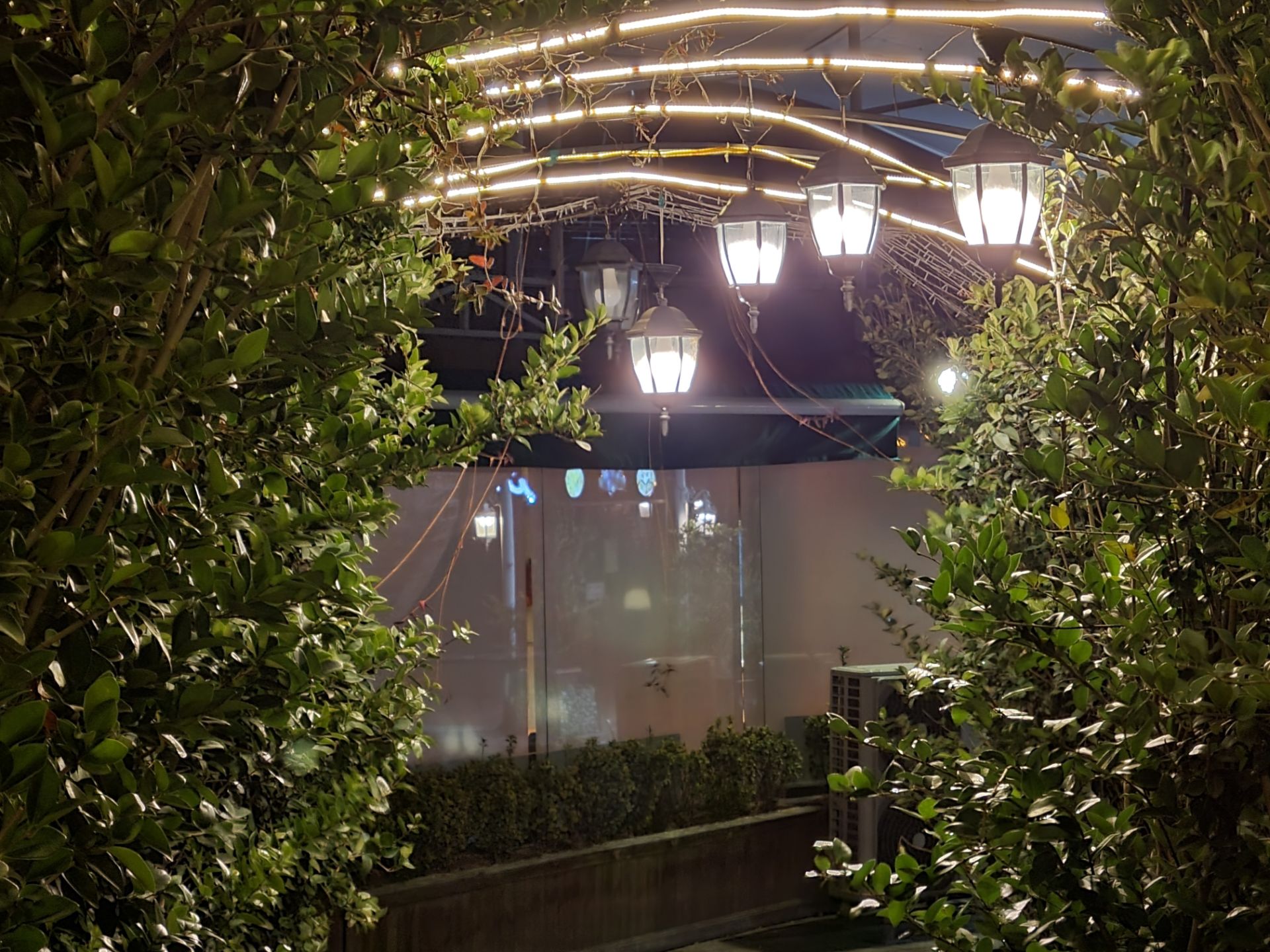 نمونه عکس دوربین زوم گلکسی S21 در شب - چراغ ها و درختان