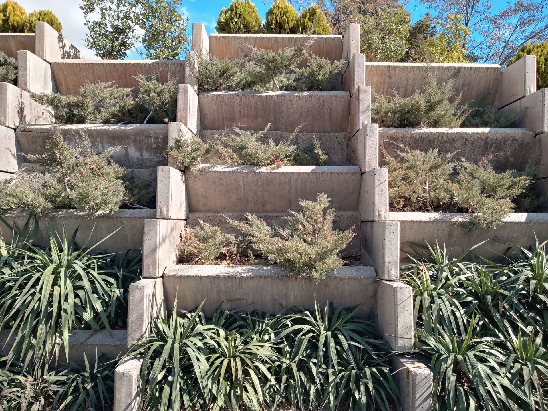 نمونه عکس دوربین اصلی ال جی K41S در روز - باغ گیاهان