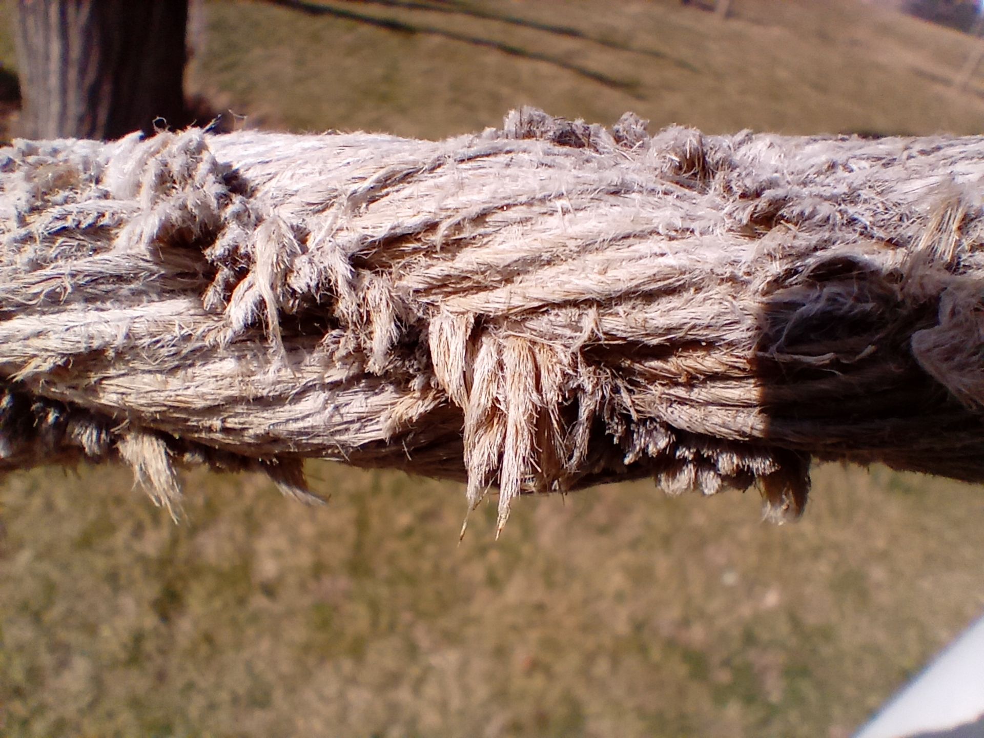 نمونه عکس دوربین ماکرو ال جی K41S در روز - طناب