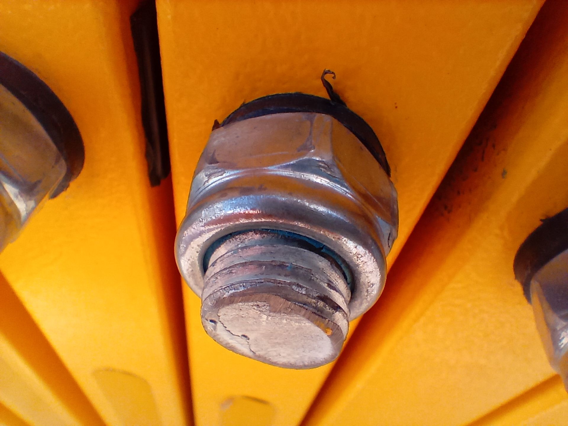 نمونه عکس دوربین ماکرو ال جی K41S در روز - پیچ