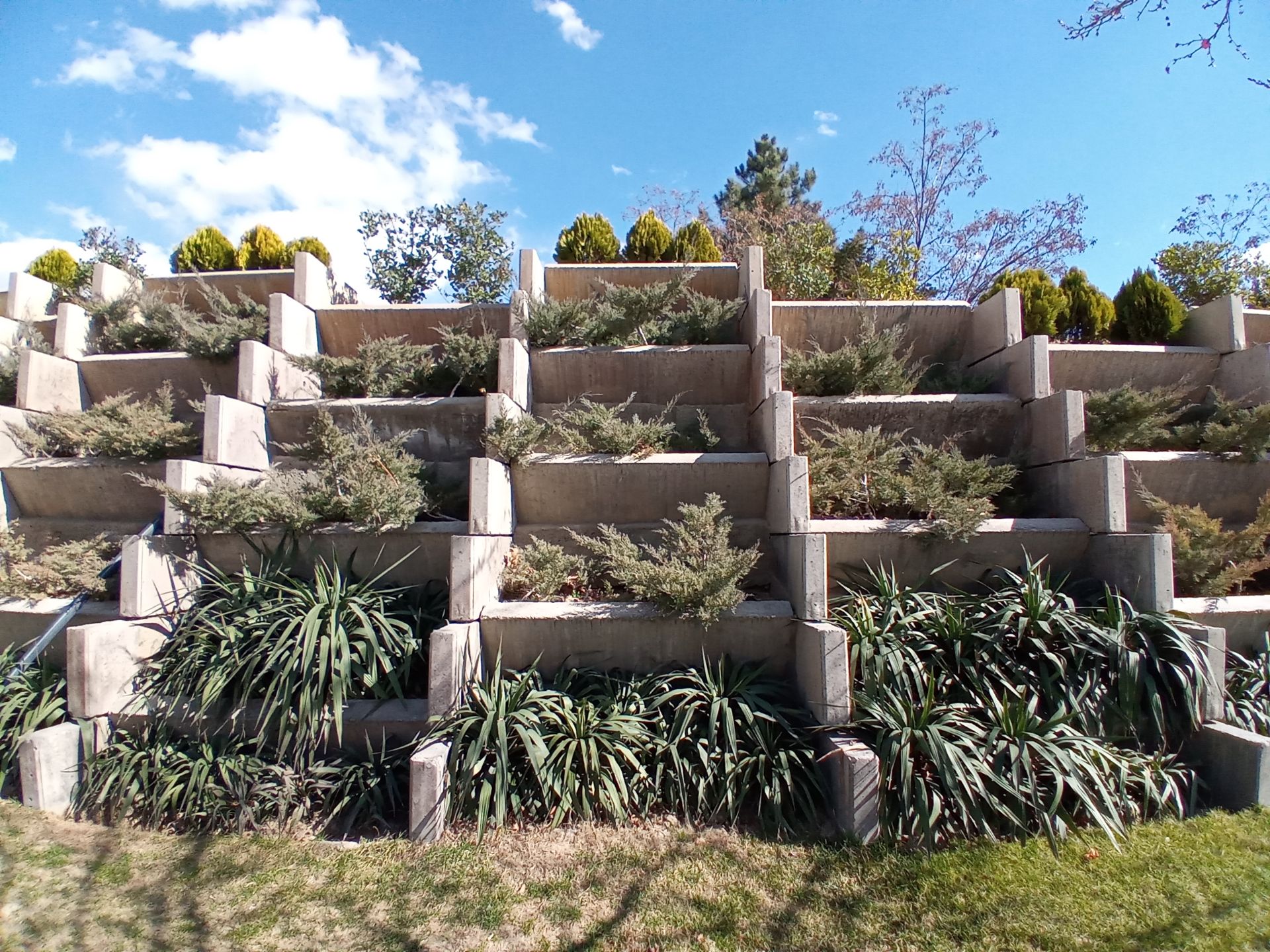 نمونه عکس دوربین اولتراواید ال جی K41S در روز - باغ گیاهان