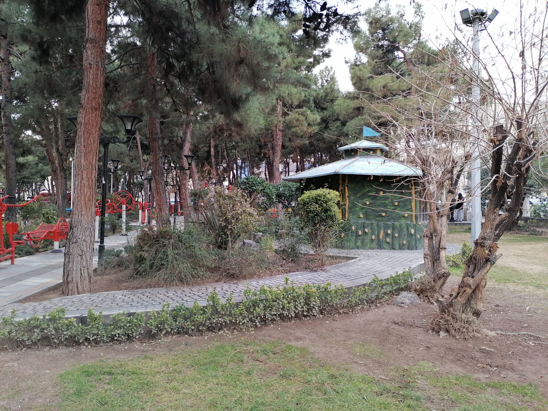 نمونه عکس دوربین اصلی Y7a هواوی - آلاچیق در پارک صبا