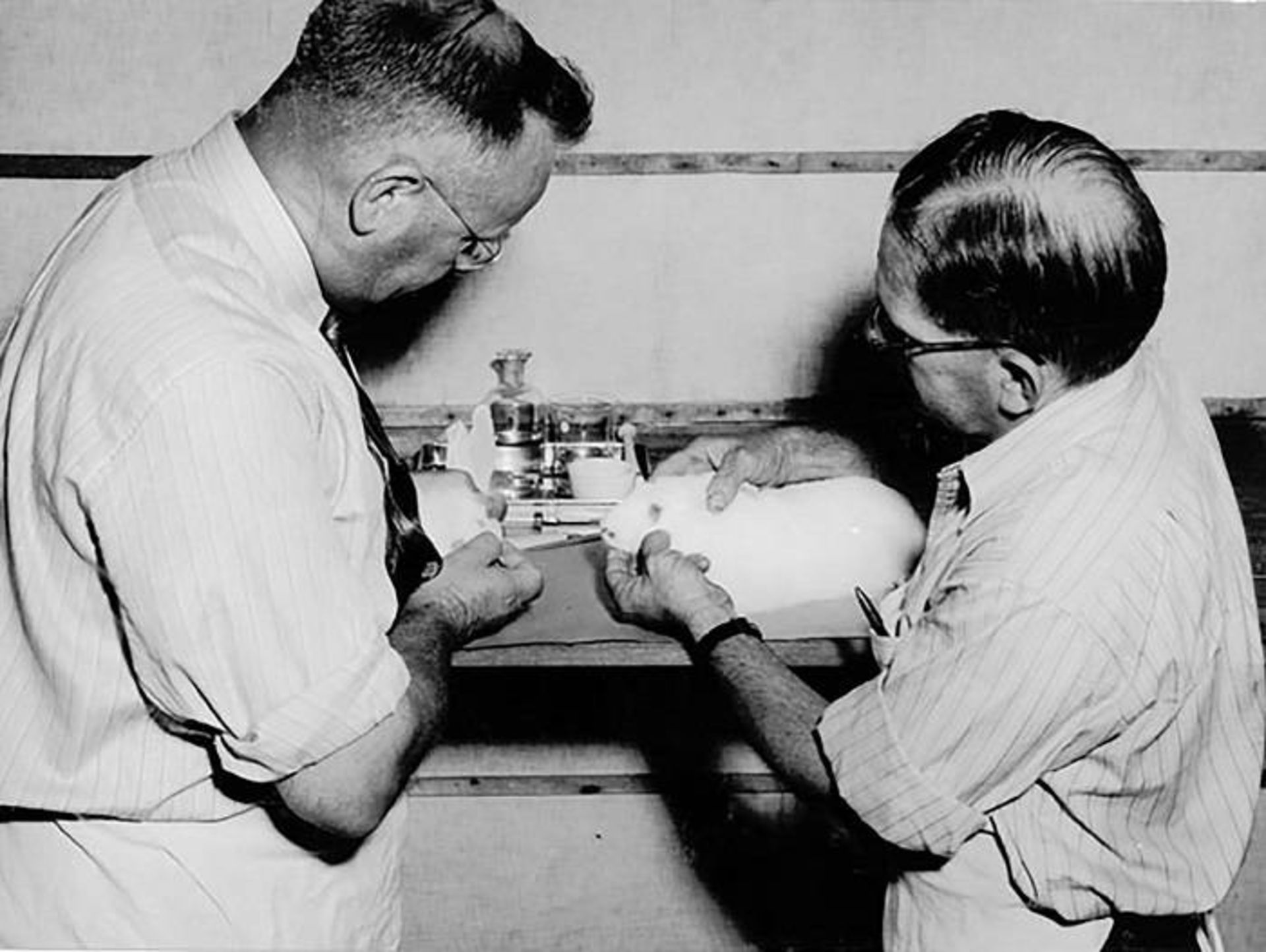 کارآزمایی کنترل میکسوماتوز / کارآزمایی کنترل میکسوماتوز