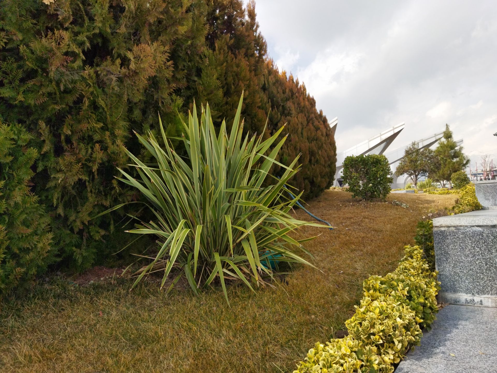 نمونه عکس با دوربین اصلی پوکو ام ۳ در طول روز فضای سبز پارک آب و آتش