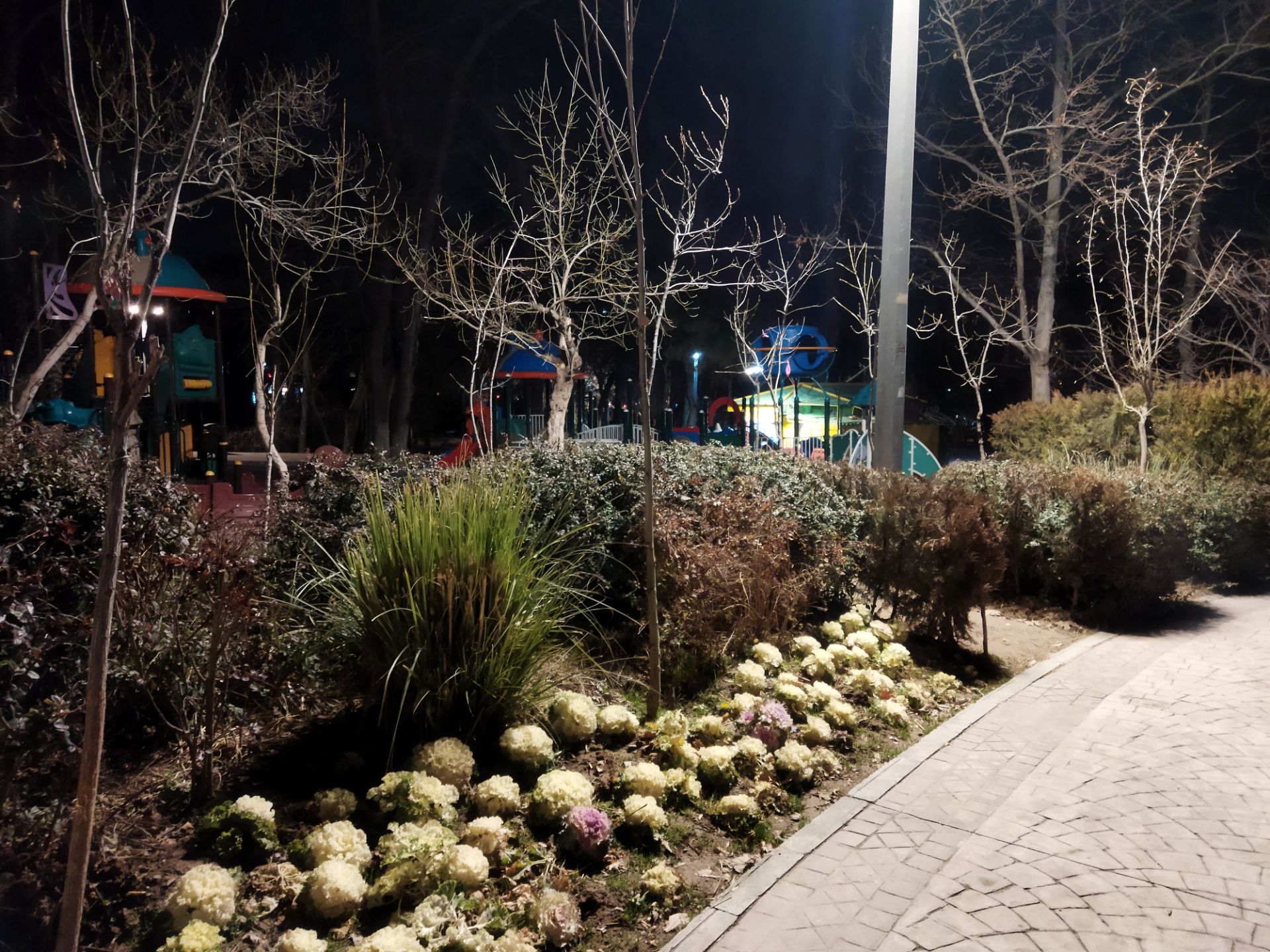 نمونه عکس با دوربین اصلی پوکو ام ۳ در شب عکاسی پارک