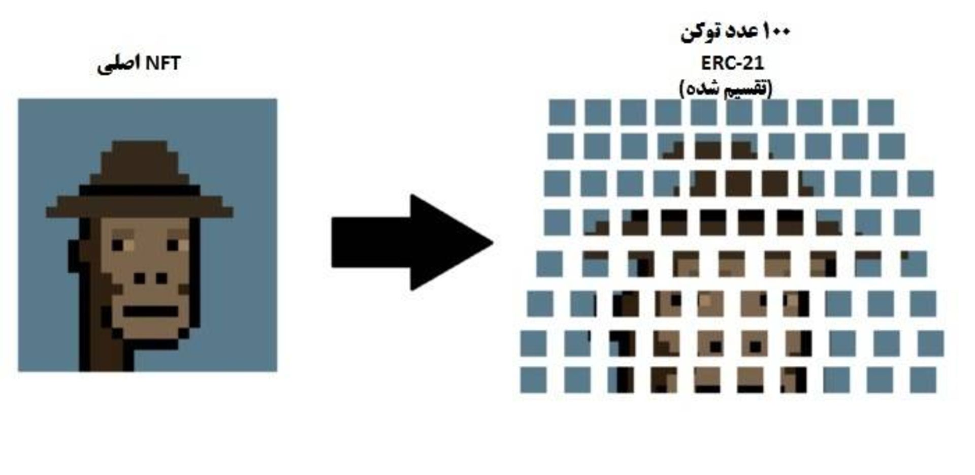 fnft تقسیم شده