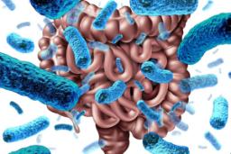 میکروبیوم روده، وضعیت سلامتی در دوران سالخوردگی را پیش‌بینی می‌کند