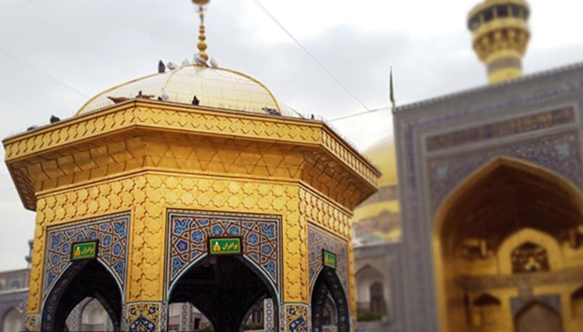 رسپینا ۲۴