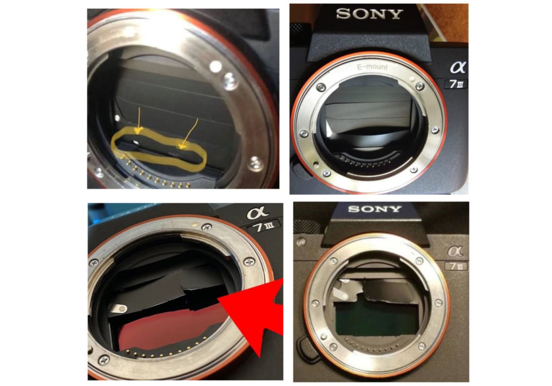 مشکل شاتر دوربین سونی Sony a7 III