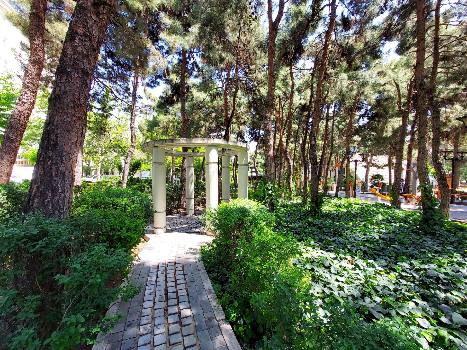 عکس نمونه دوربین اولتراواید گلکسی M51 سامسونگ در نور مناسب - نمایی در پارک صبان خیابان جردن