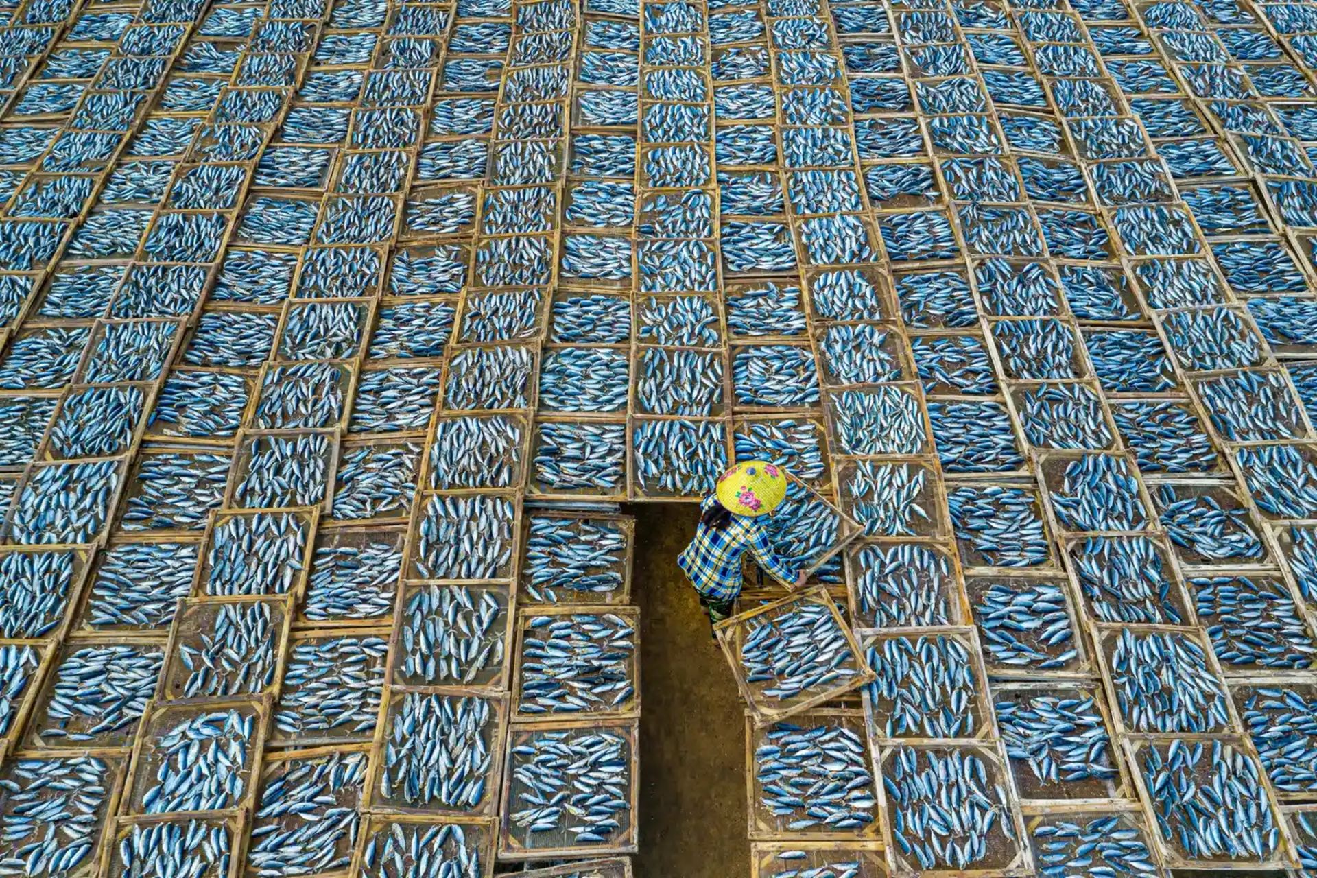 برندگان جوایز جهانی عکاسی سونی ۲۰۲۱