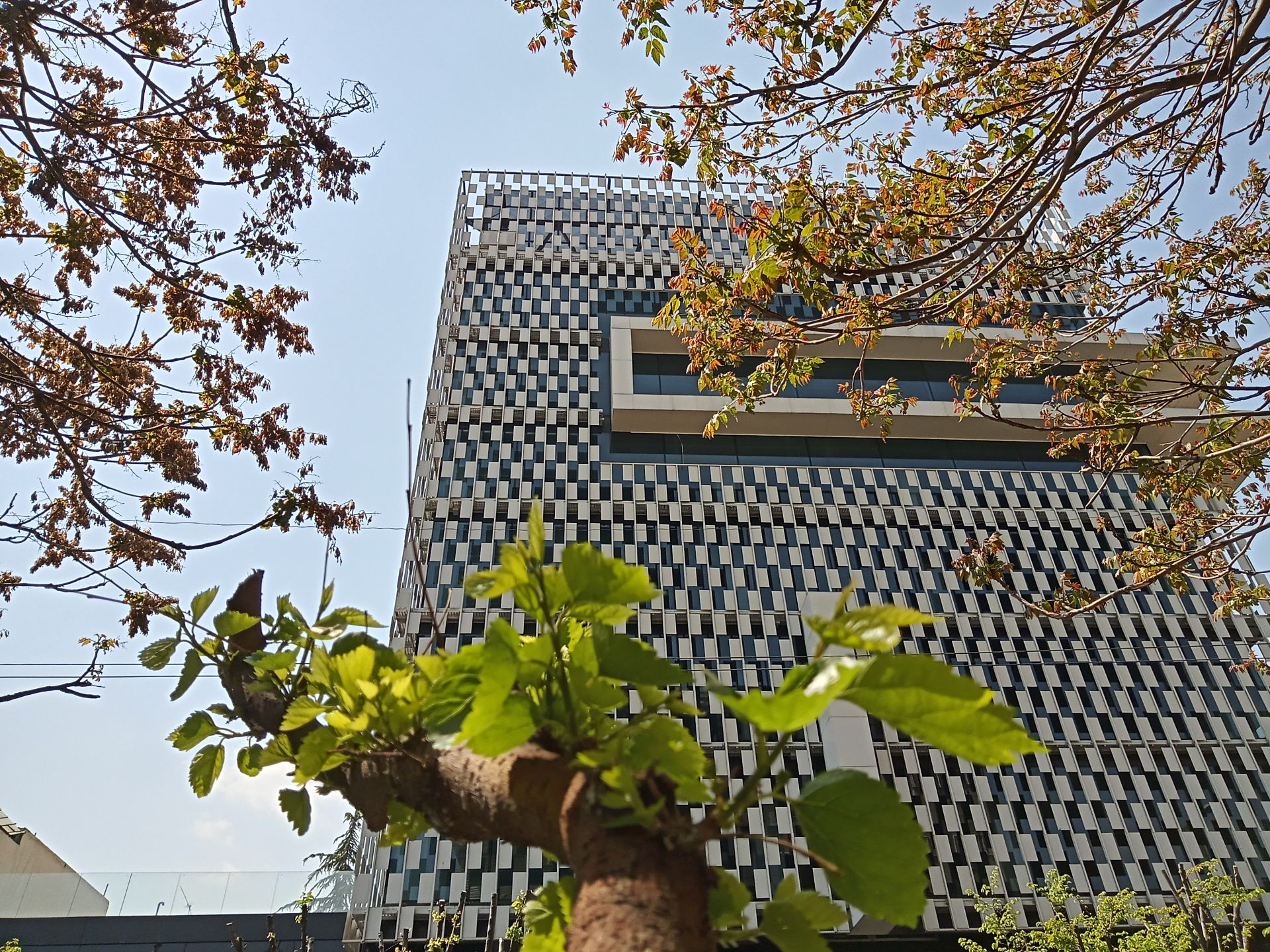 نمونه عکس دوربین اصلی ال جی K51S - نمای برج در خیابان جردن