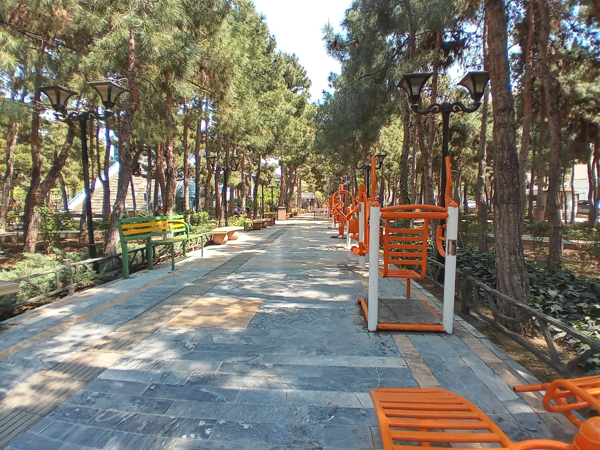 نمونه عکس دوربین اولتراواید ال جی K51S - لوازم ورزشی در پارک