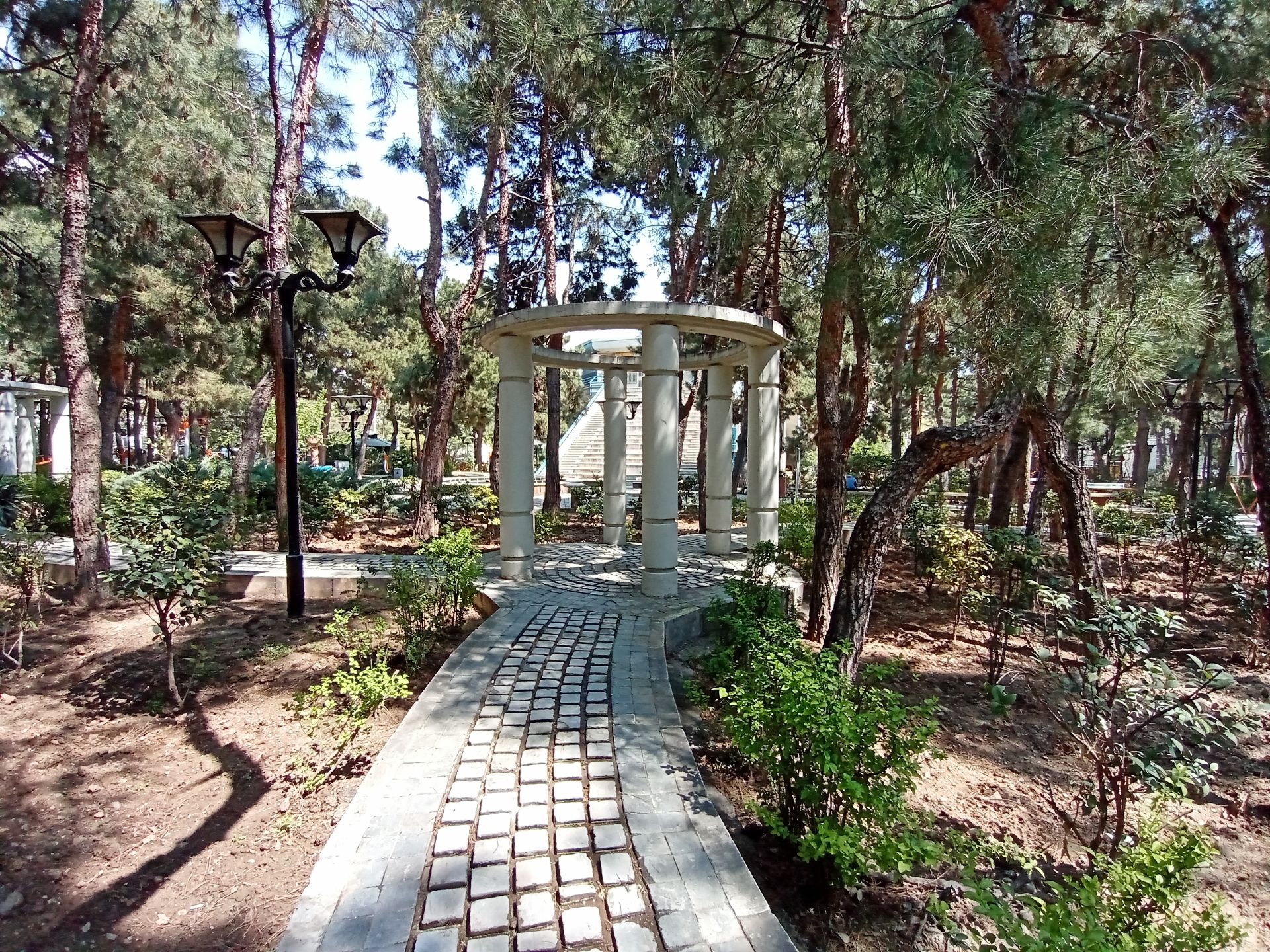 عکس نمونه دوربین اولتراواید ال جی K61 در نور مناسب - نمایی در پارک صبا خیابان جردن