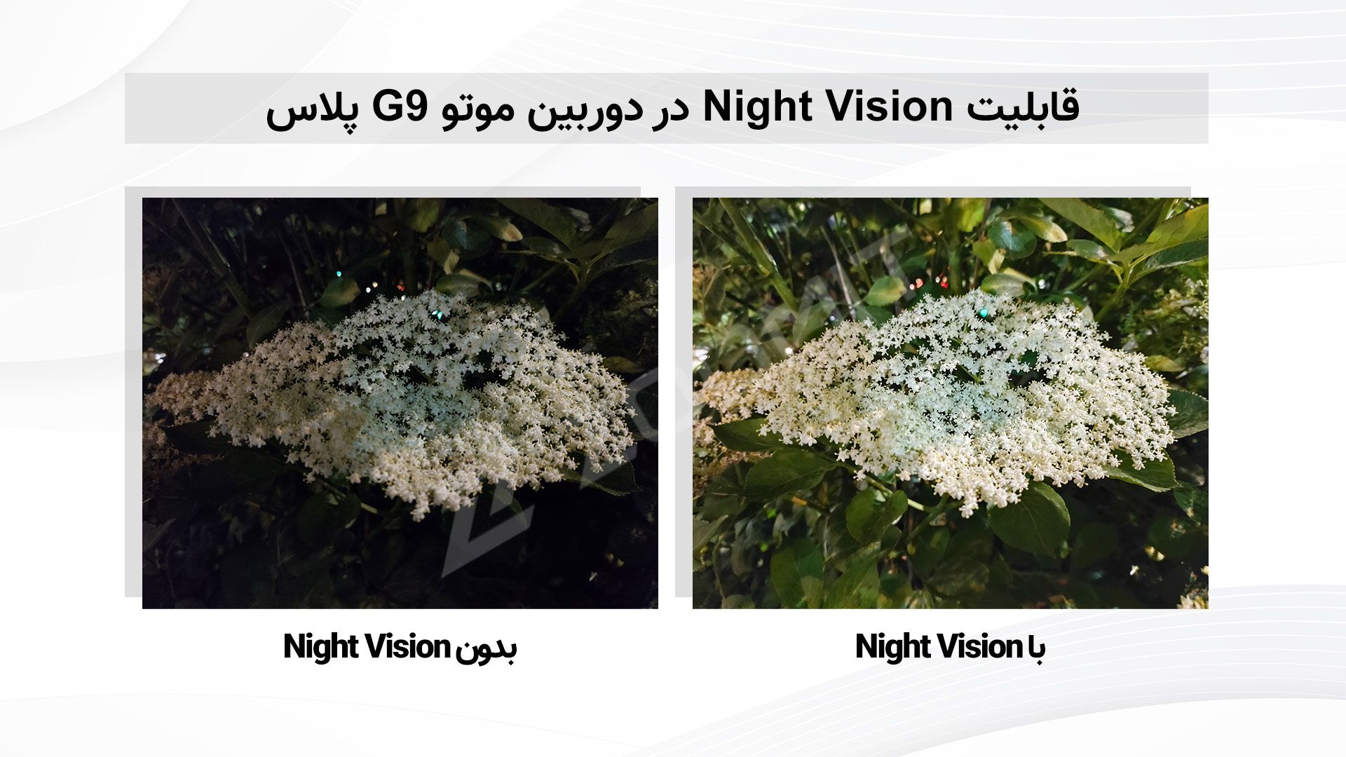 مرجع متخصصين ايران مطالعه موتورولا موتو جي ۹ پلاس - عملكرد حالت Night Vision دوربين