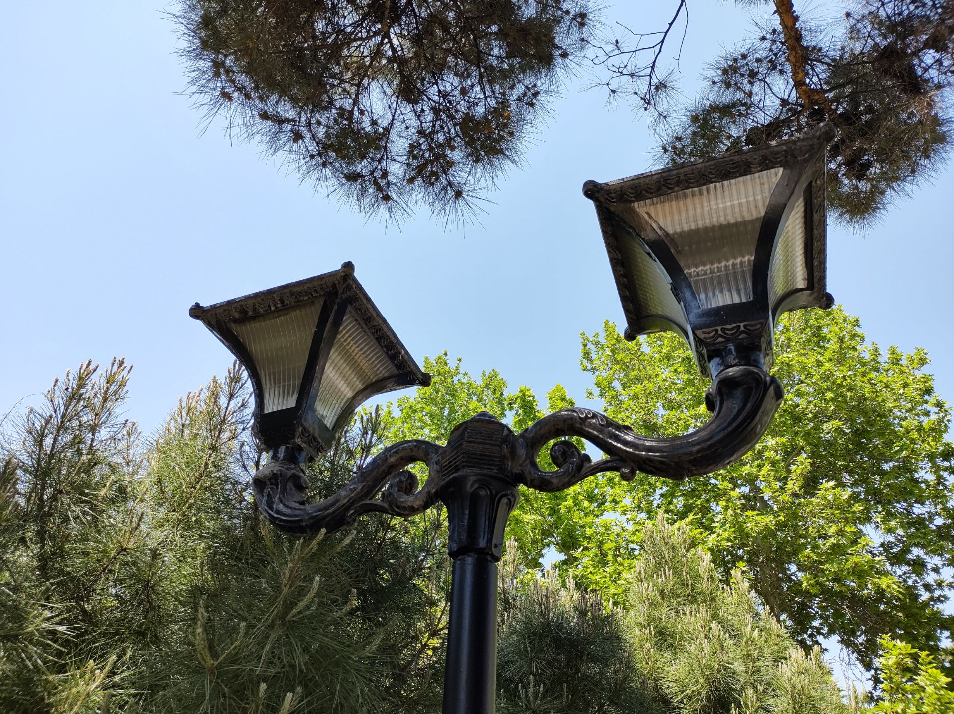 نمونه عکس دوربین اصلی موتورولا موتو جی ۹ پلاس در روز - چراغ در پارک