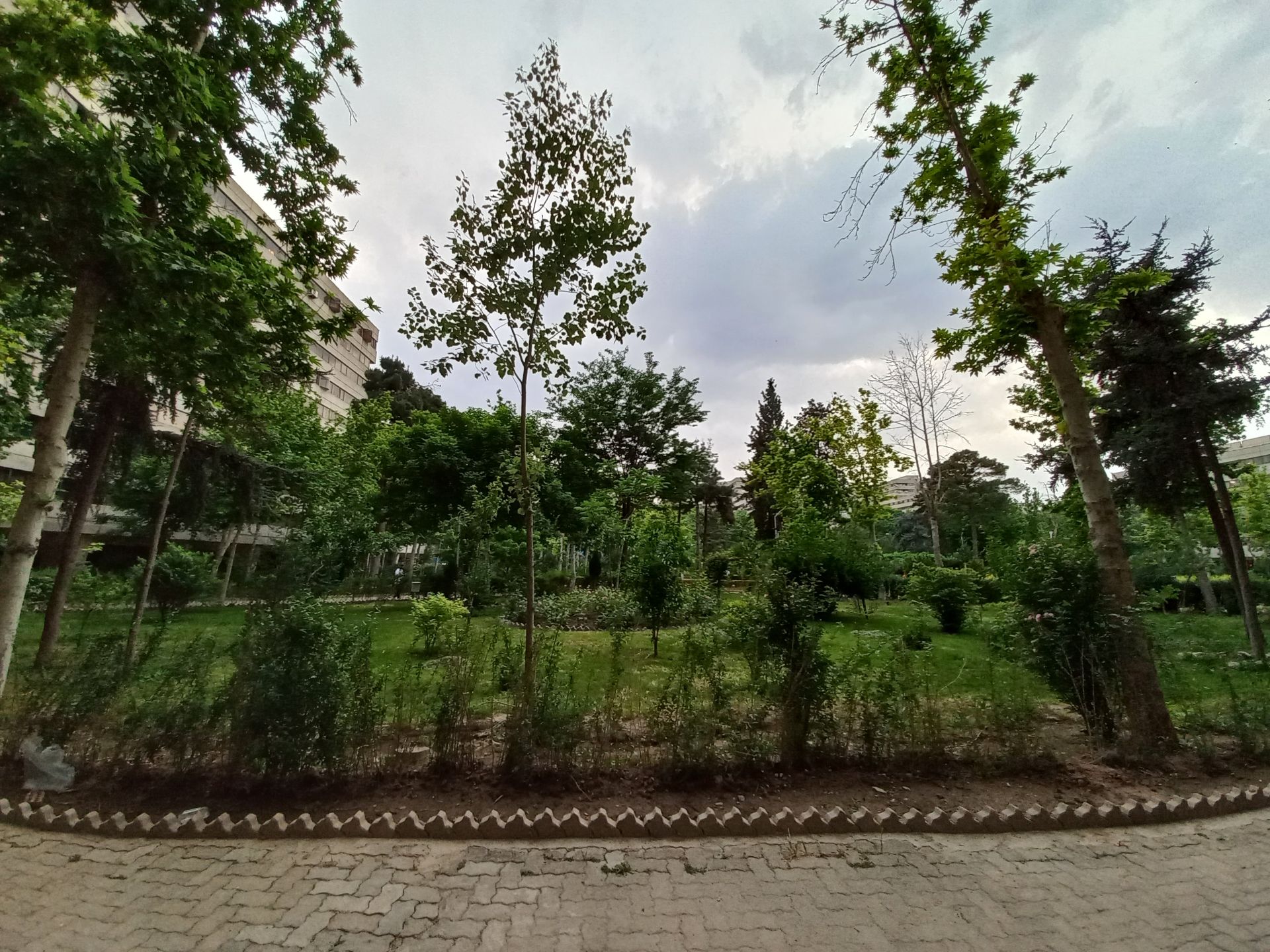 نمونه عکس ثبت شده توسط دوربین فوق‌عریض گلکسی A32 سامسونگ در روشنایی روز - فضای سبز بین بلوک‌های شهرک اکباتان