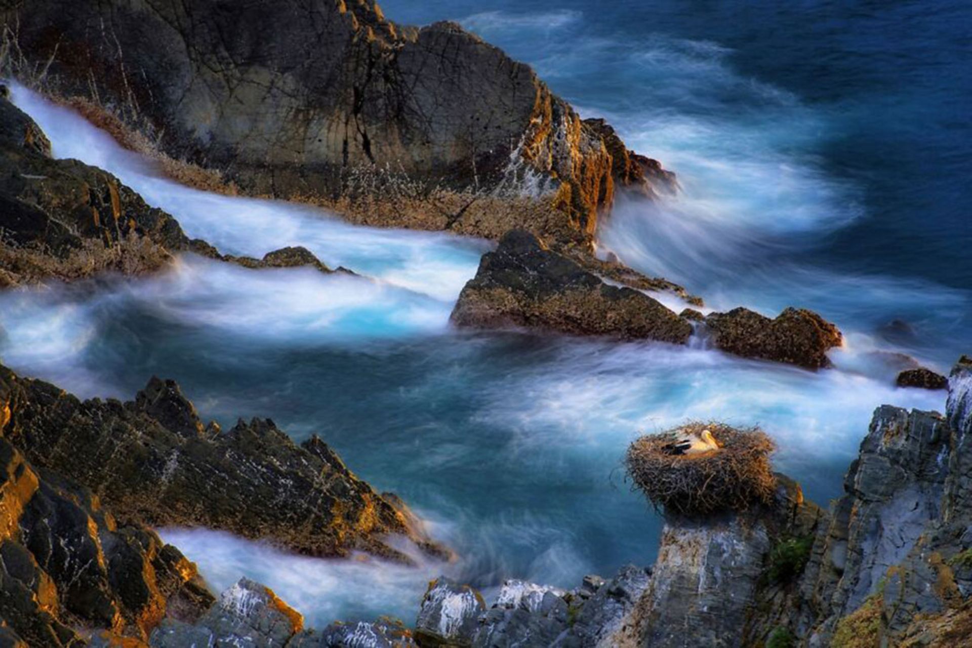 مسابقه عکس سیه نا