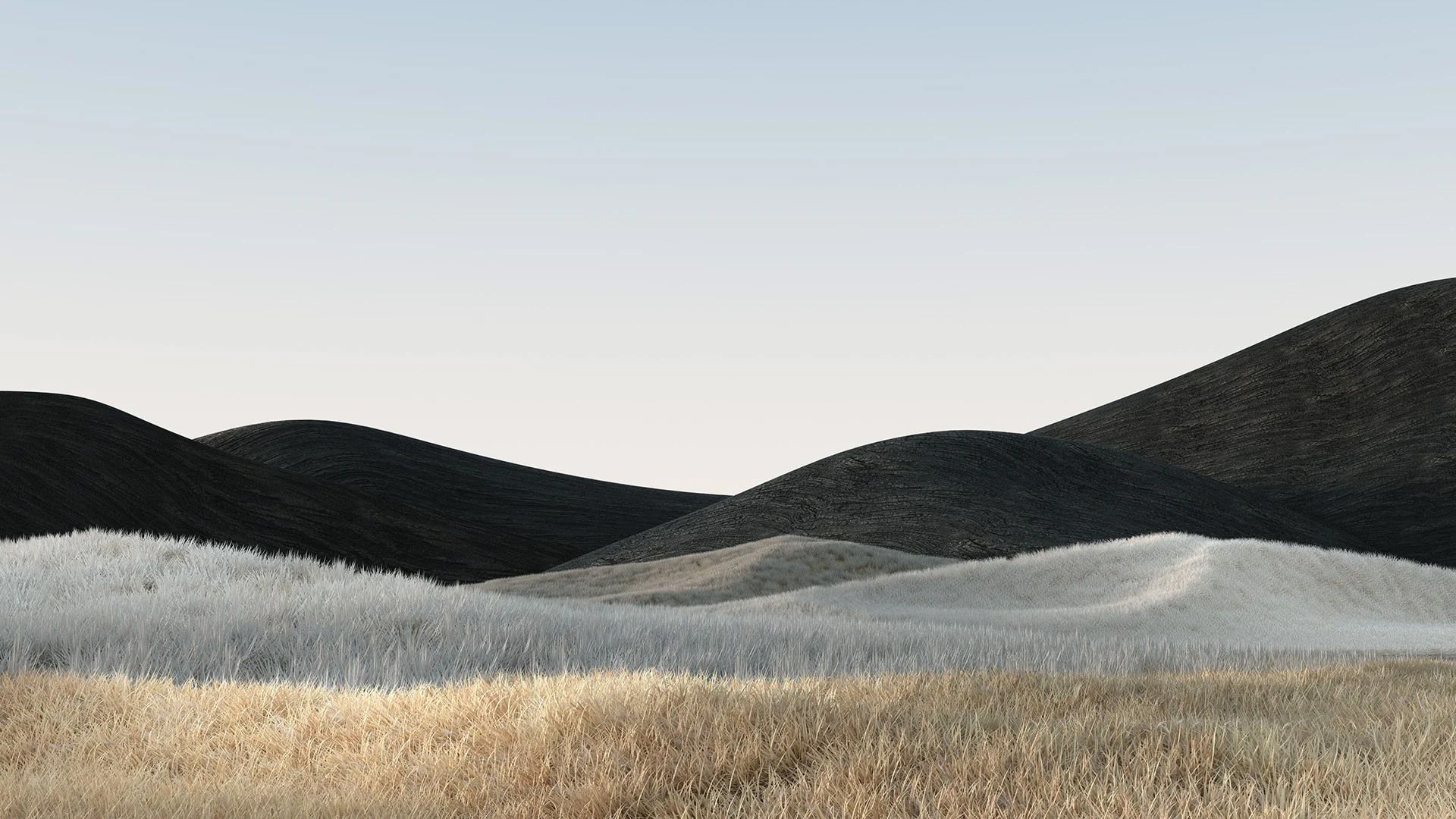 والپیپر سرفیس لپ تاپ 4 نسخه مشکی مات برای کامپیوتر