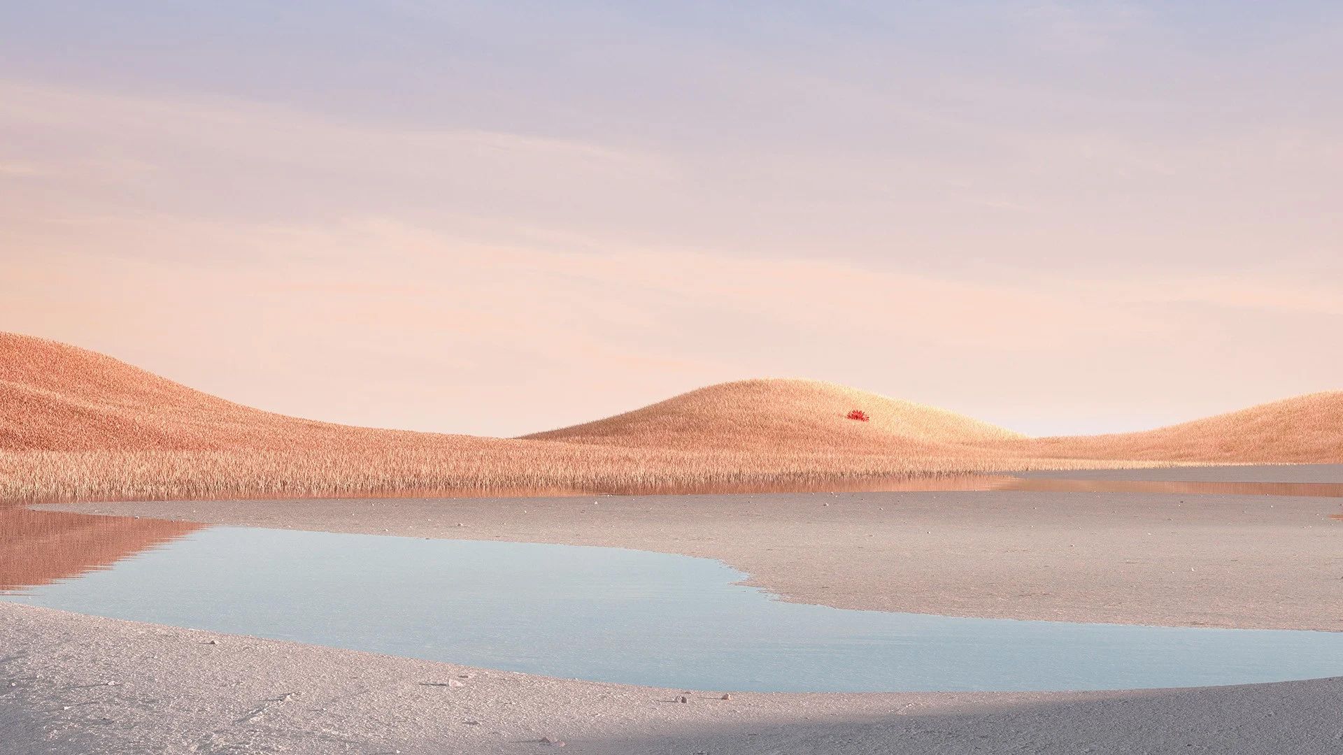 والپیپر سرفیس لپ تاپ 4 نسخه سنگ شنی برای کامپیوتر