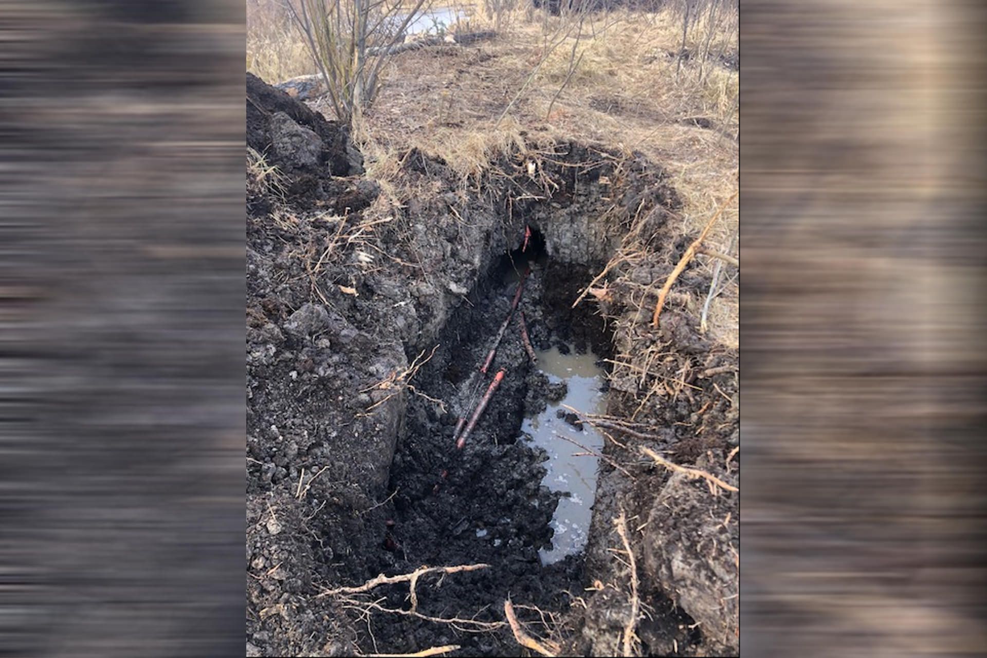 چاله حفرشده توسط سگ آبی در کانادا و جویدن کابل اینترنت