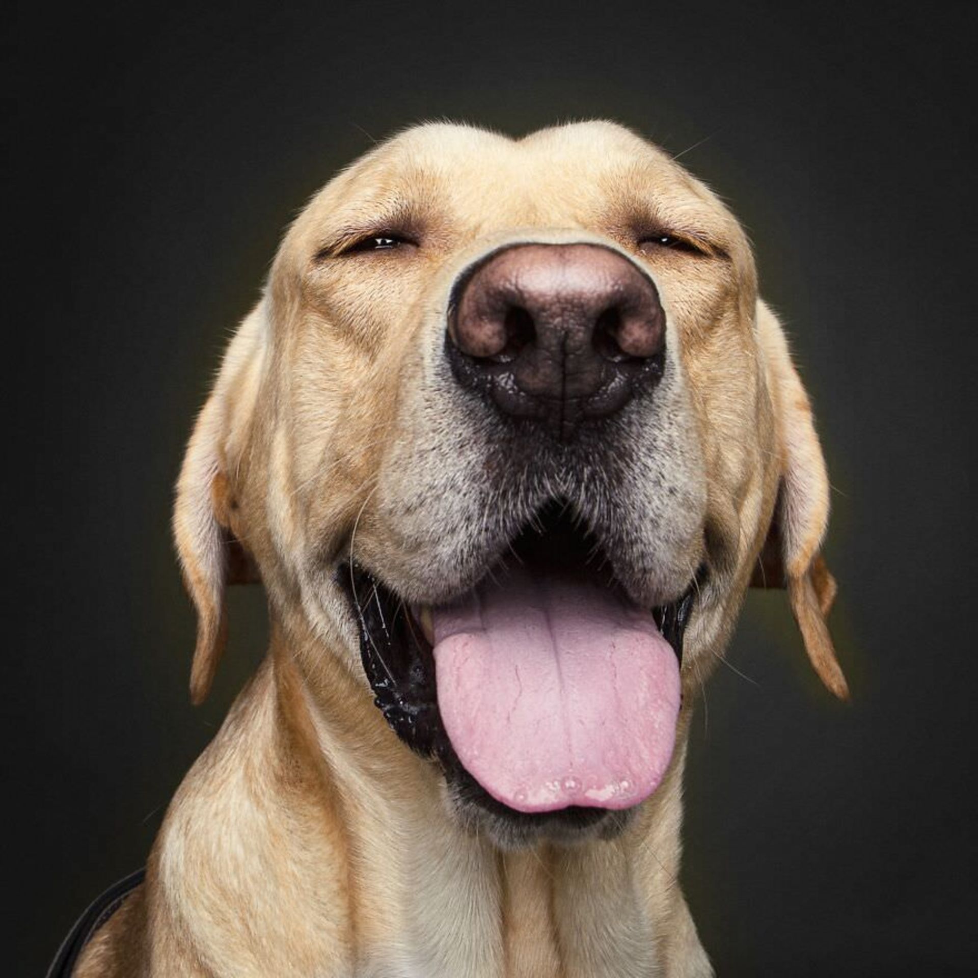 جوایز بین‌المللی عکس توکیو