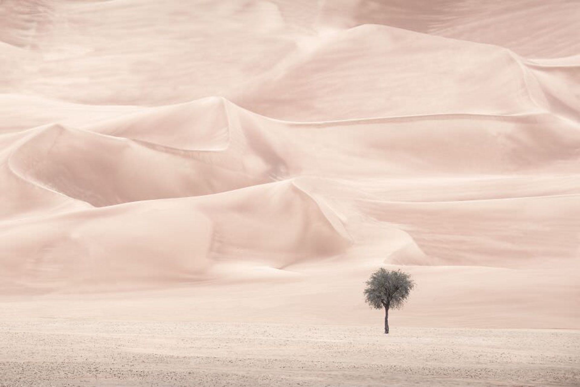 جوایز بین‌المللی عکس توکیو