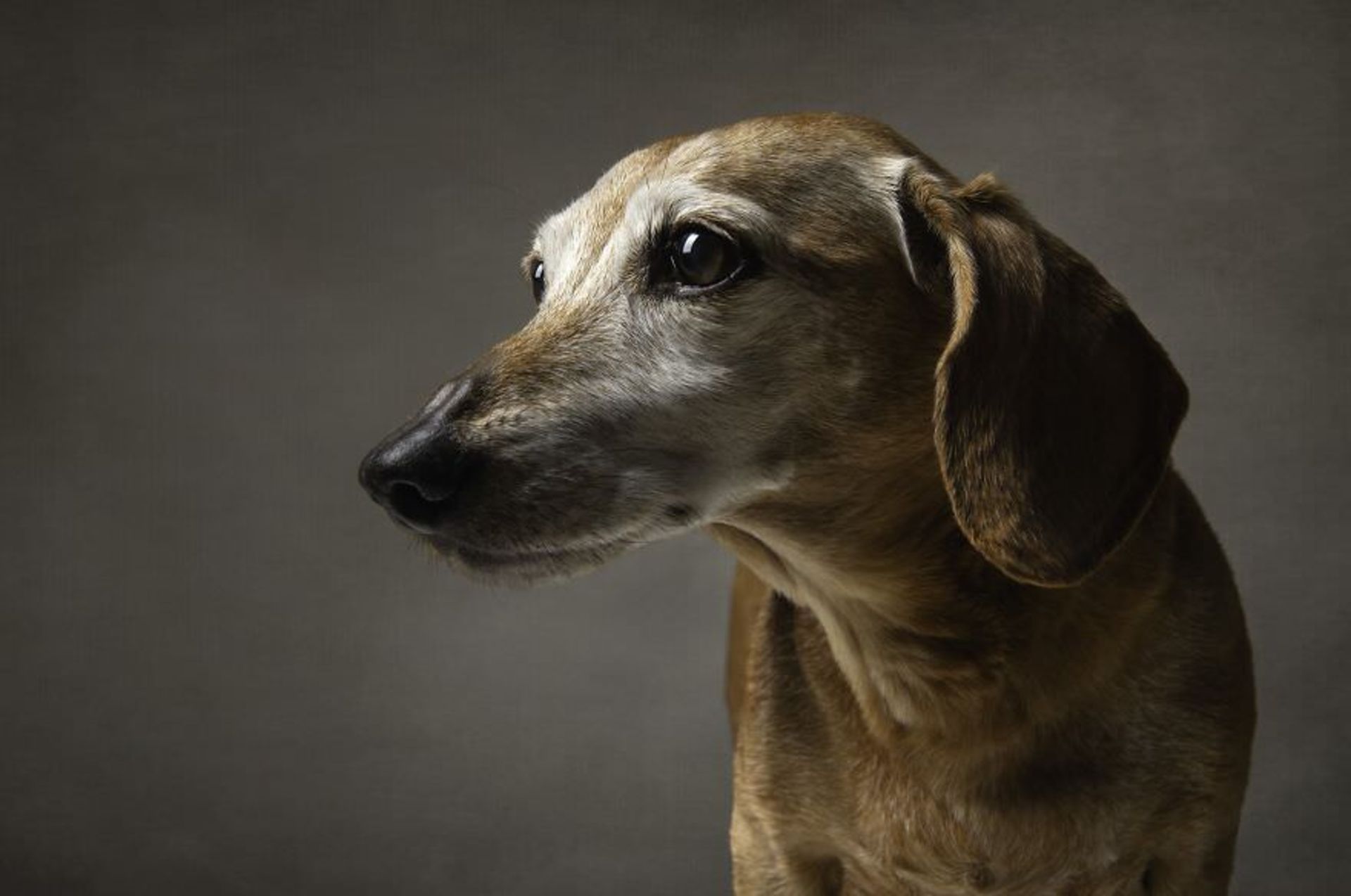 جوایز بین‌المللی عکس توکیو