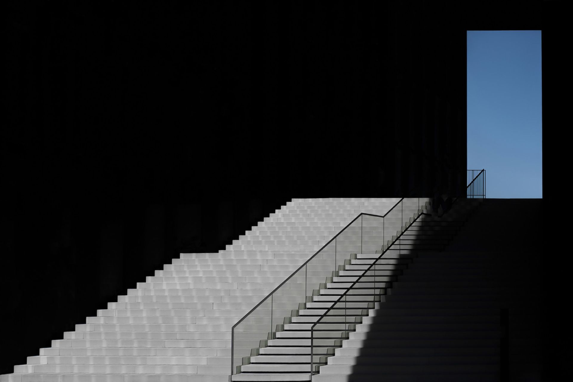 برندگان جوایز جهانی عکاسی سونی ۲۰۲۱