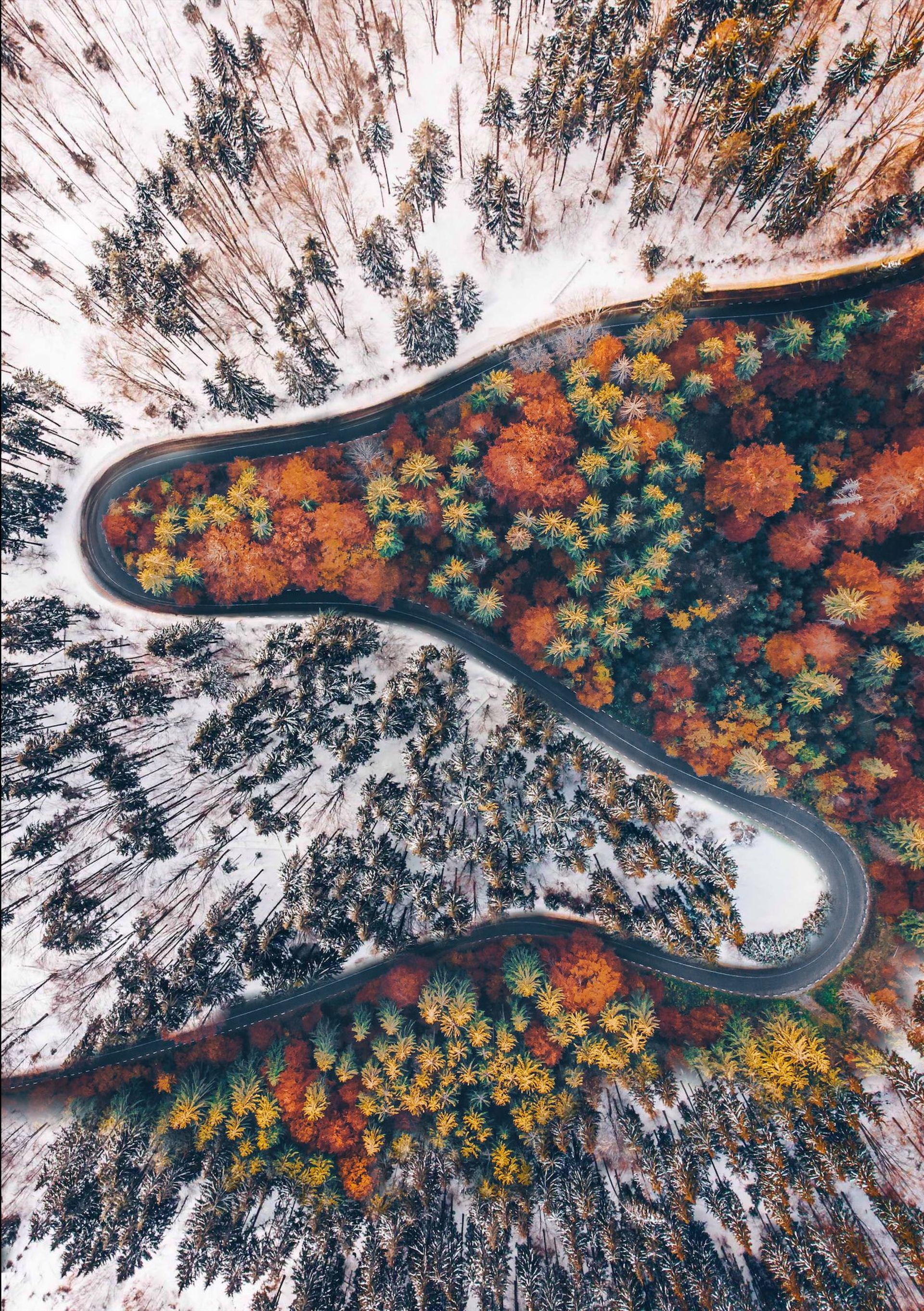 مناظر ترانسیلوانیا