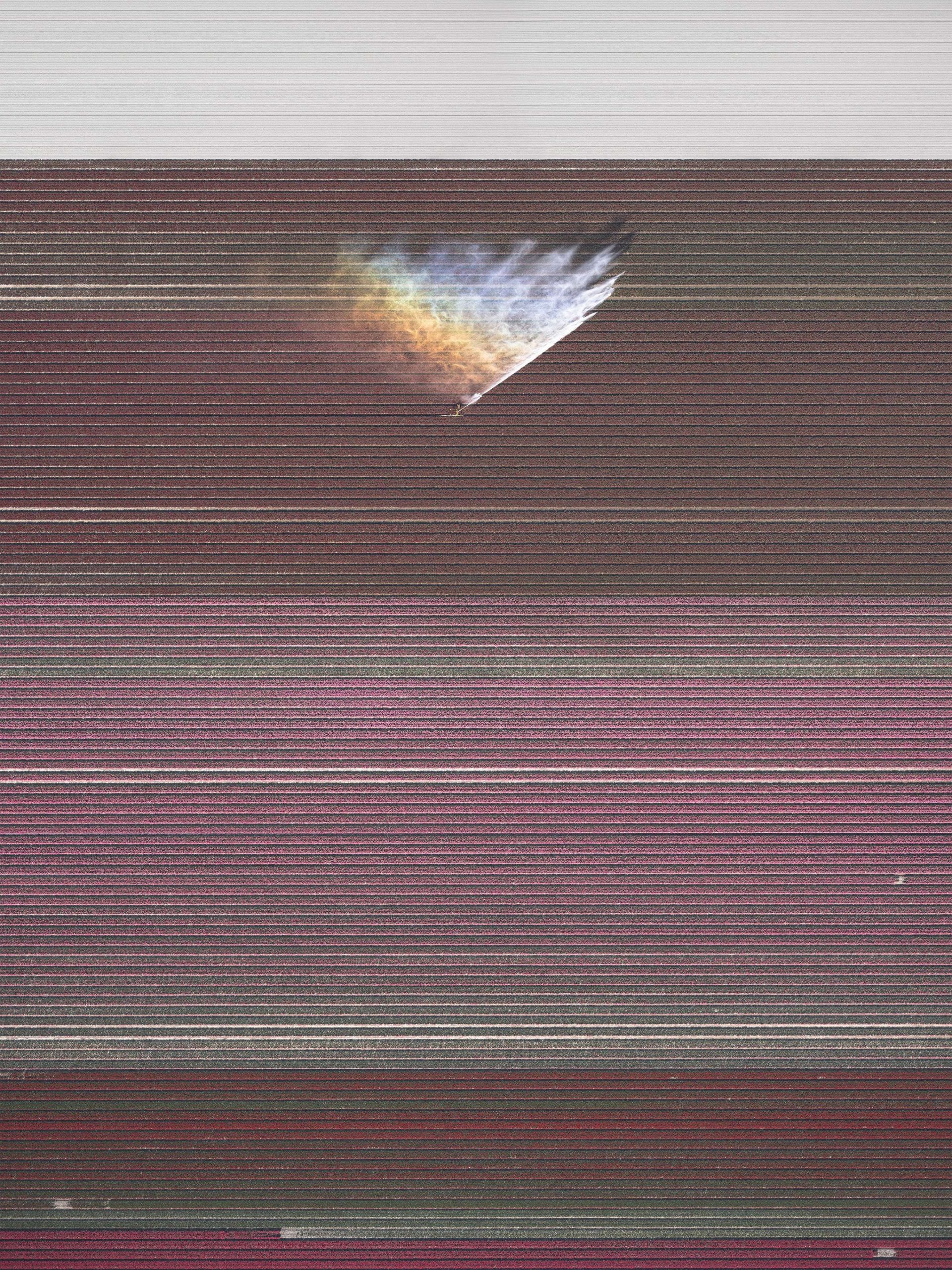 برندگان مسابقات عکاسی مناظر ۲۰۲۰