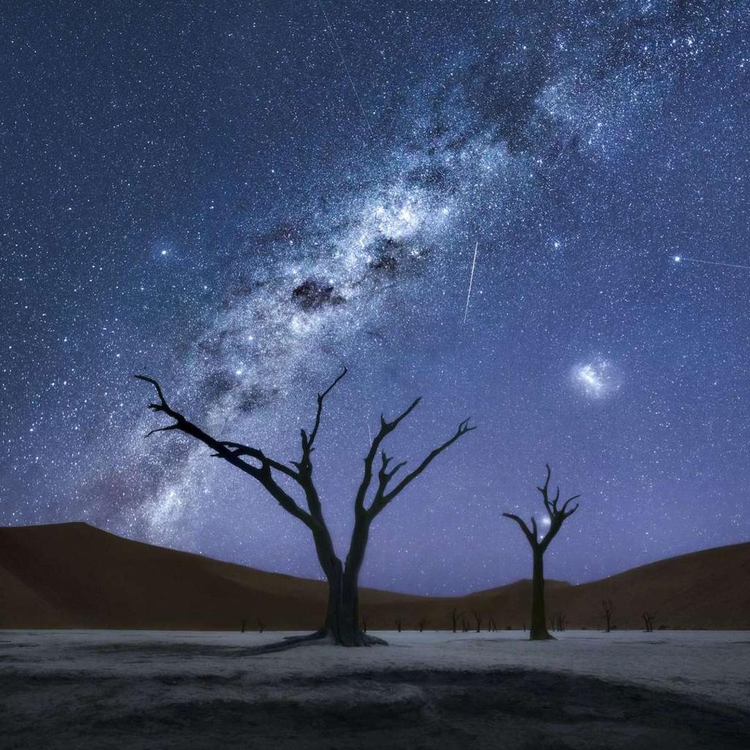 برندگان مسابقات عکاسی مناظر ۲۰۲۰