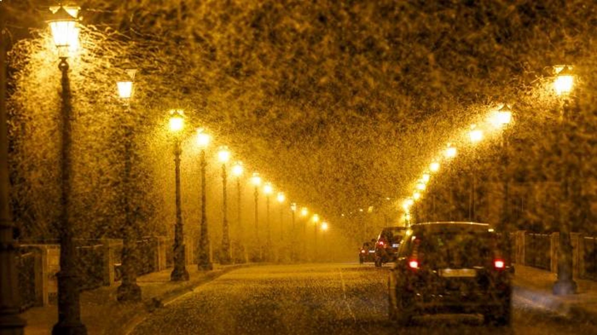 جذب حشرات به نور پلی روی در اسپانیا