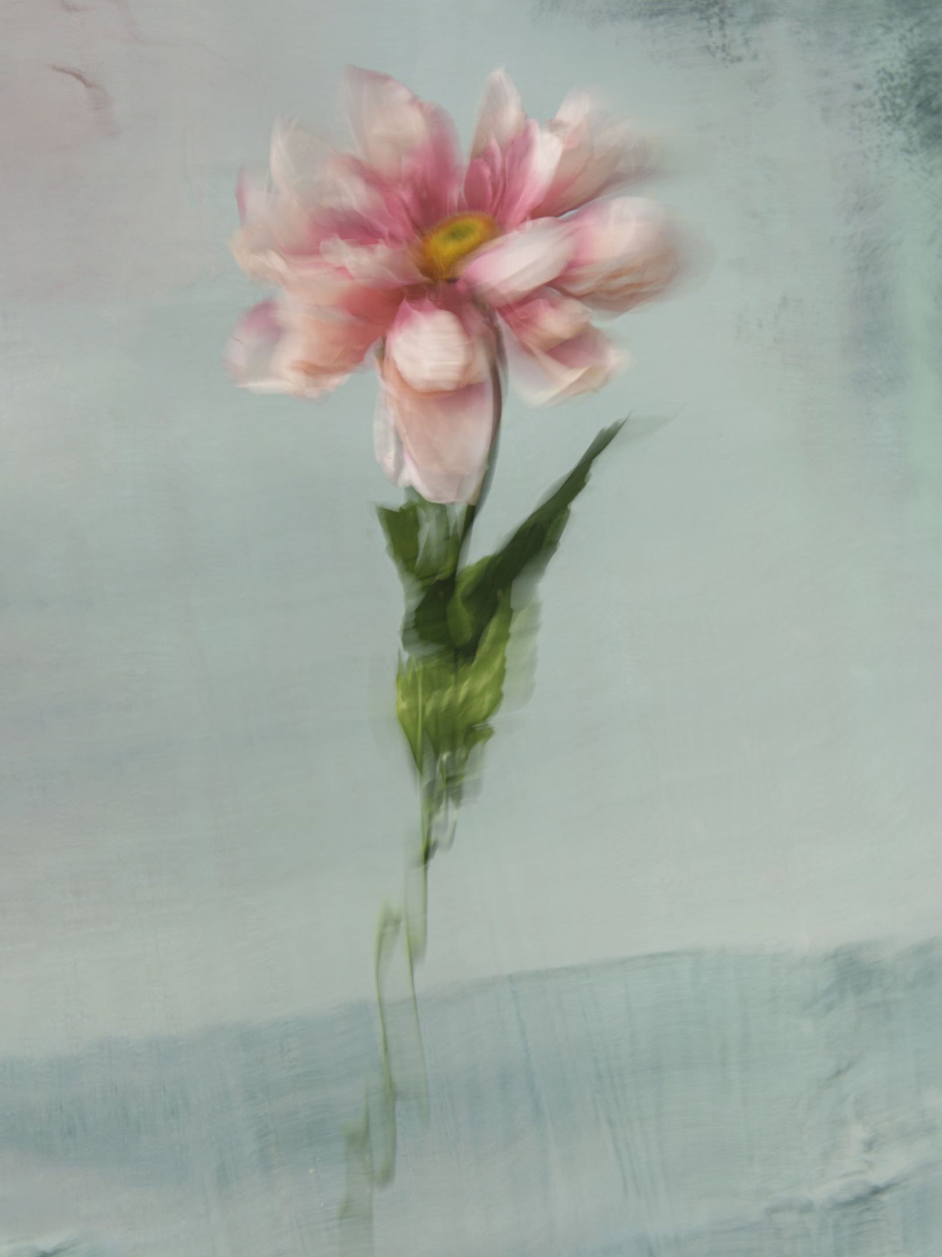 گل‌ها زیر آب