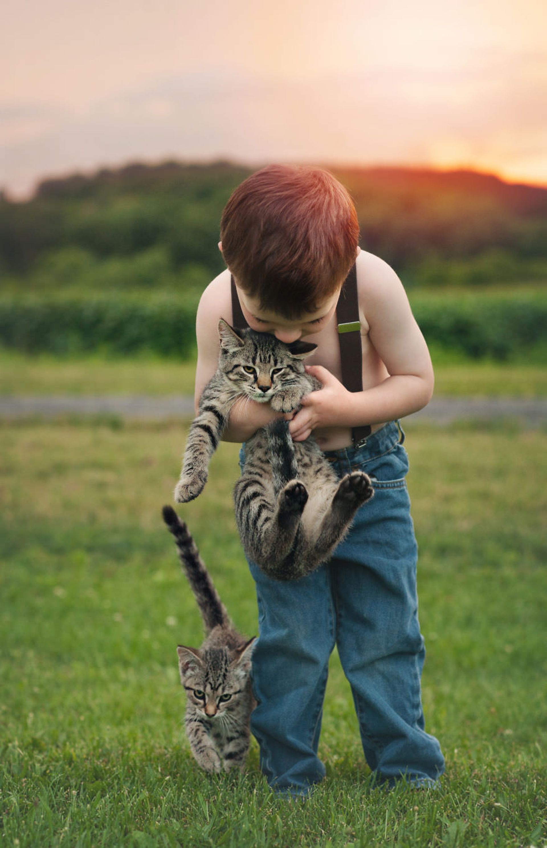 تعامل کودکان و حیوانات گربه و پسر/ اندریا مارتین