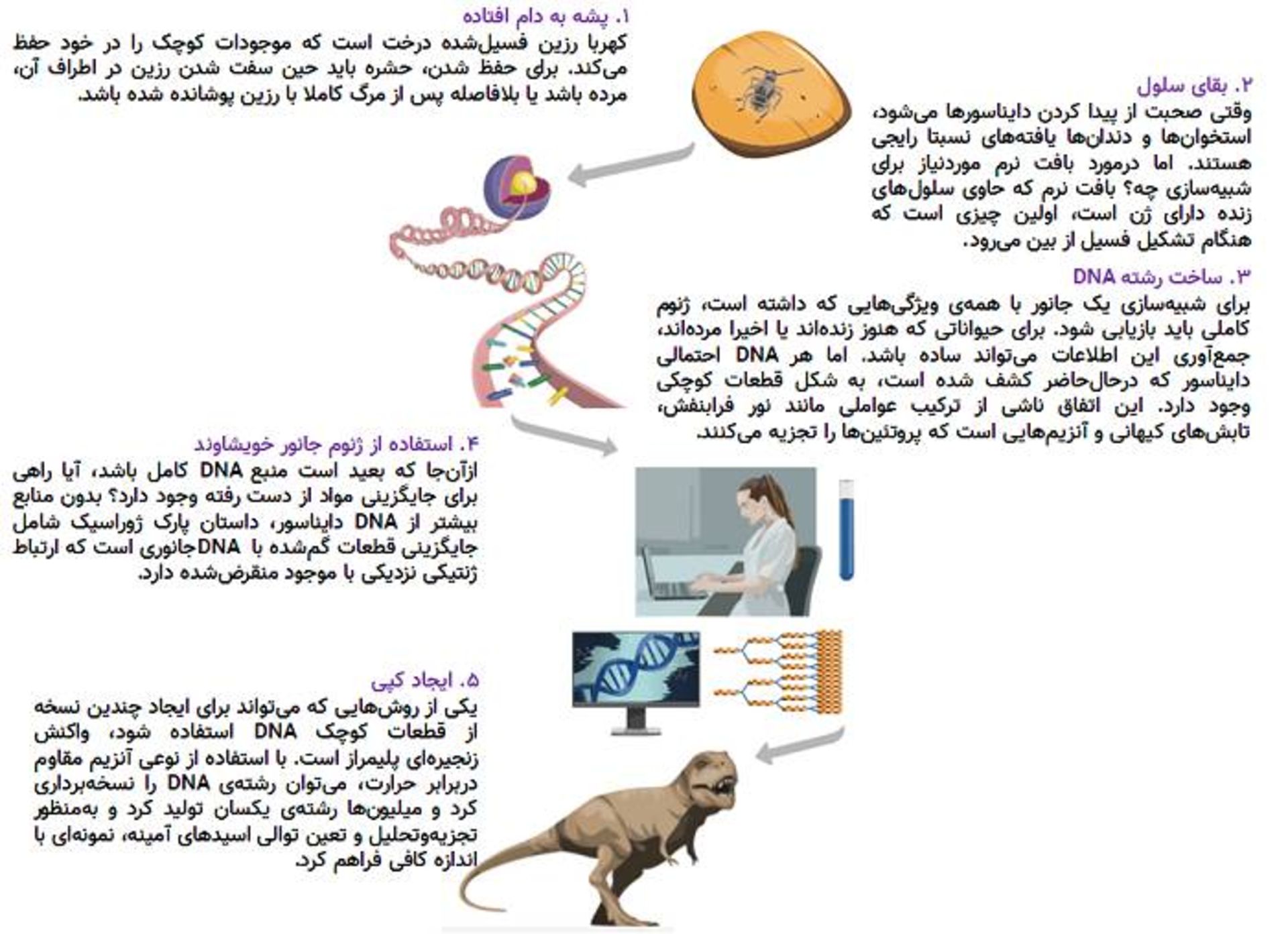 فرایند شبیه سازی دایناسورهای منقرض شده