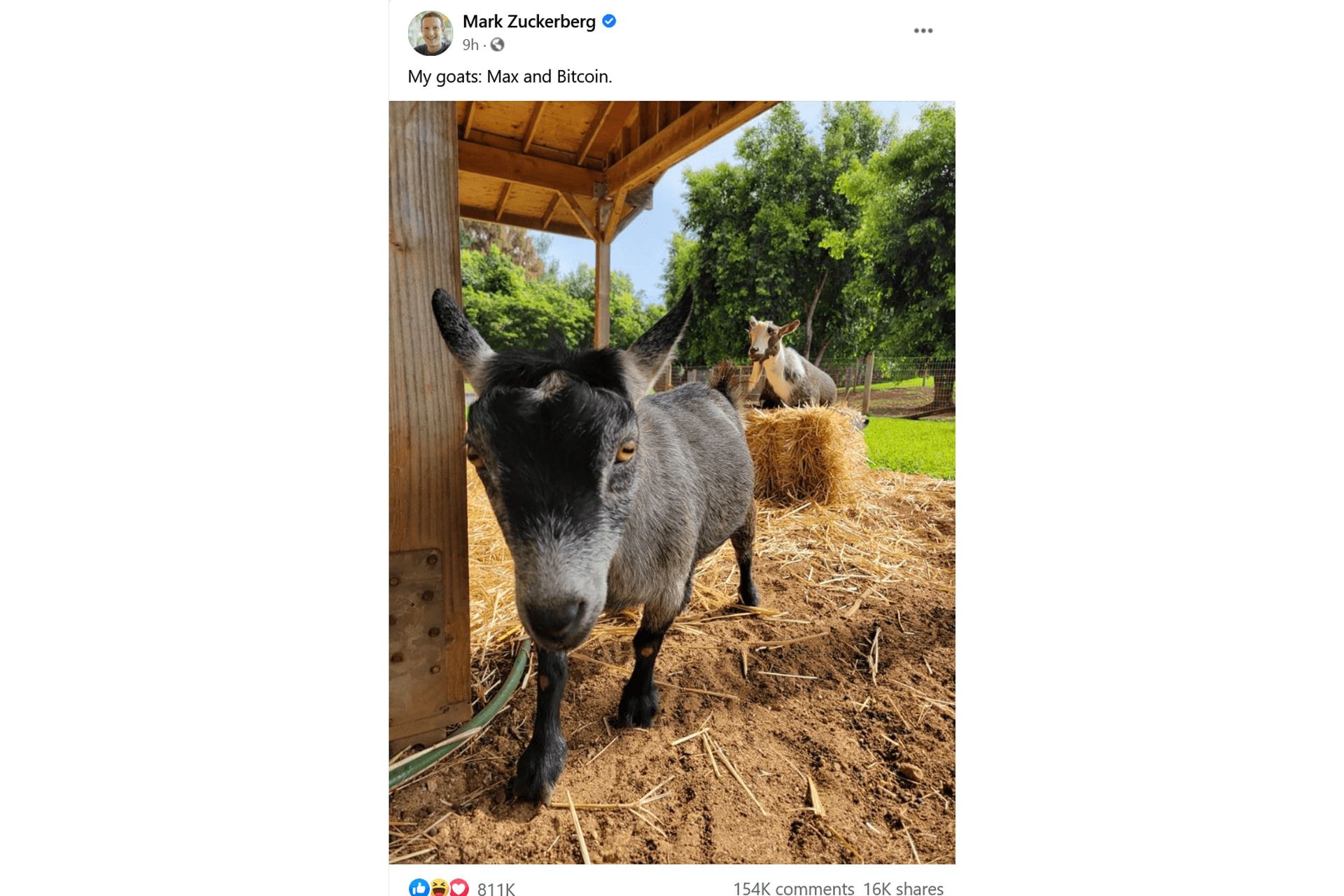 اسکرین شات پست بزهای بیت کوین و مکس مارک زاکربرگ مدیرعامل فیسبوک