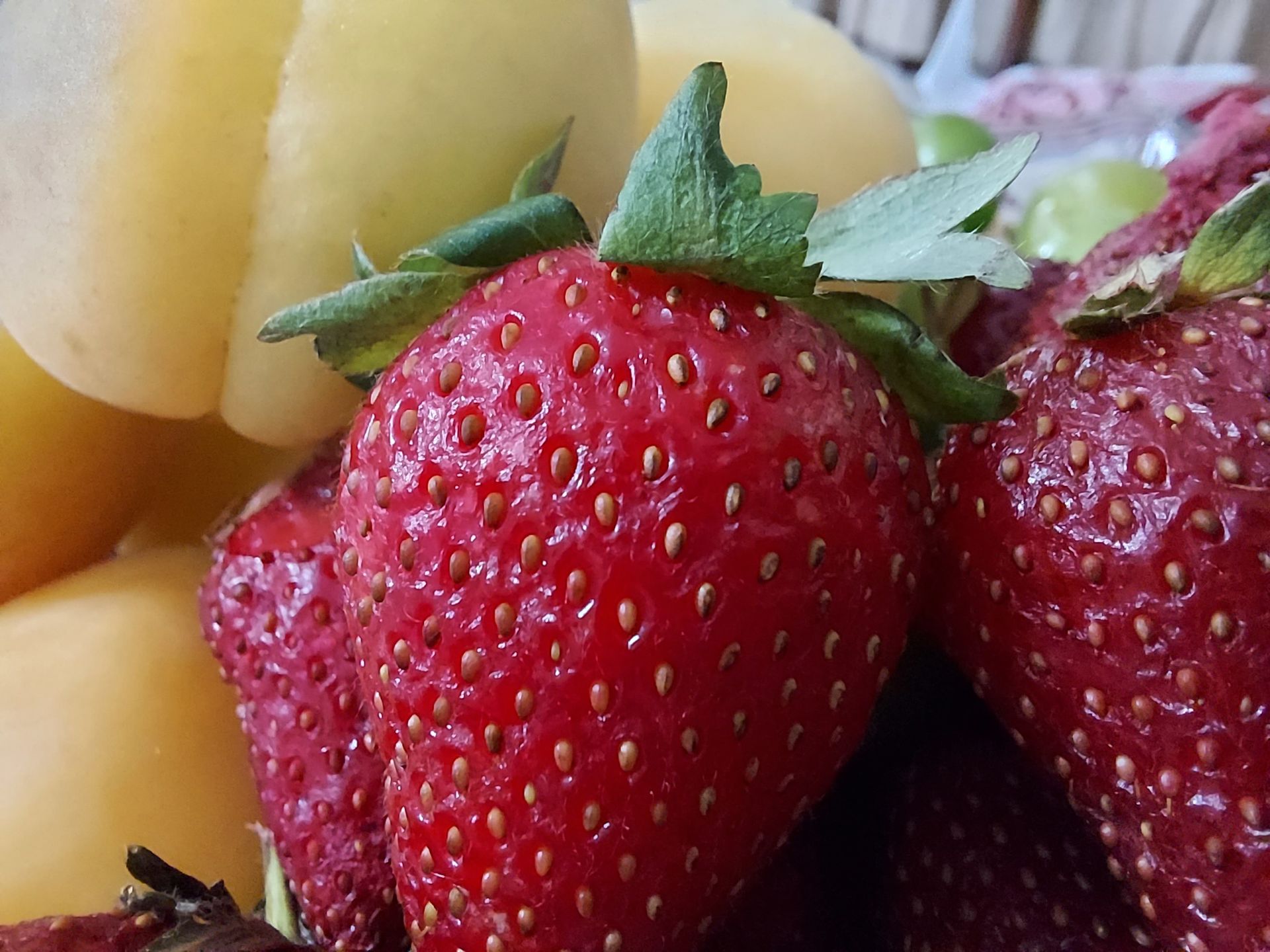 عکس دوربین ماکرو گلکسی A42 سامسونگ