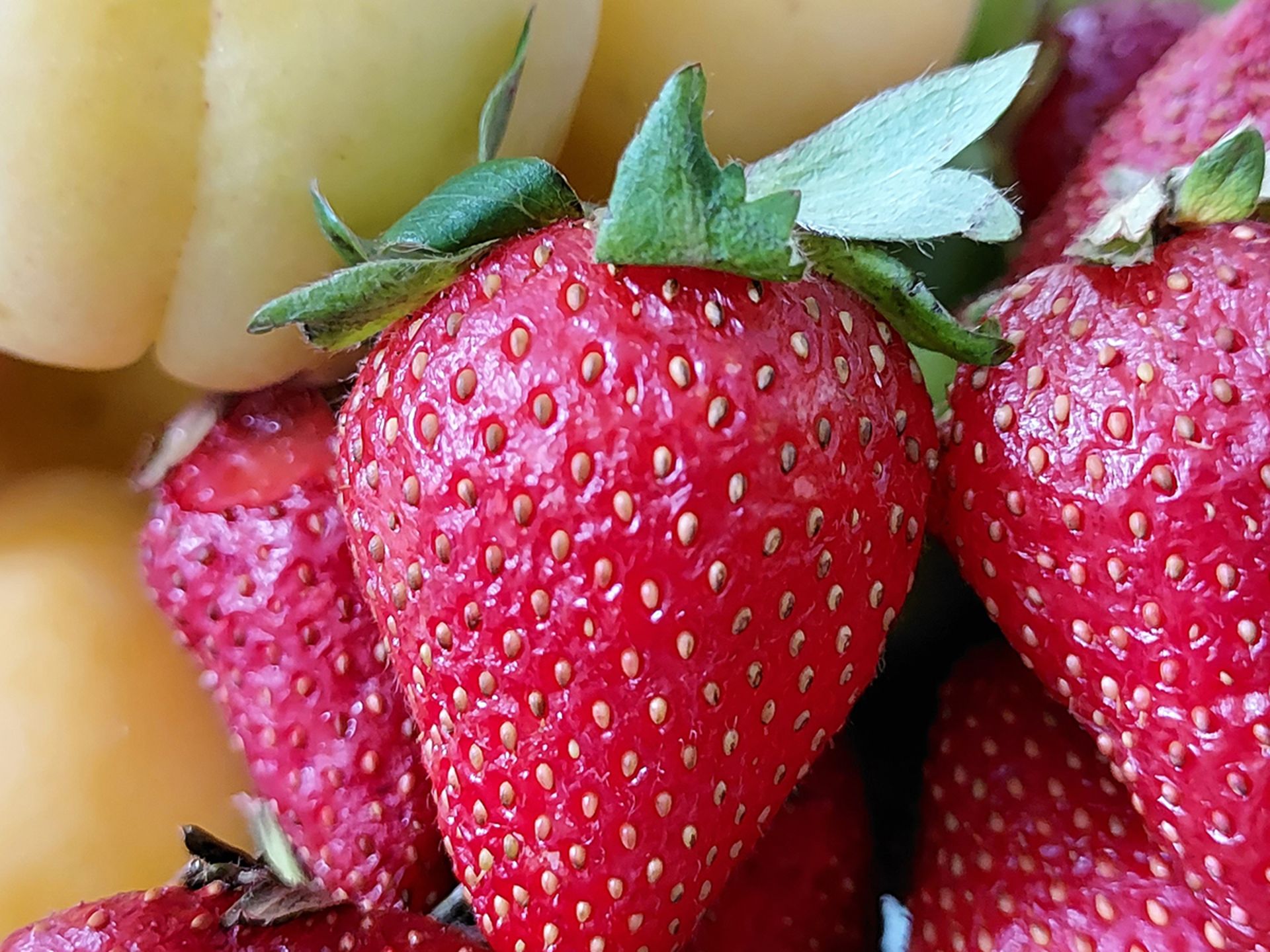 تصویر کراپ شده از عکس دوربین واید گلکسی A42 از نزدیک