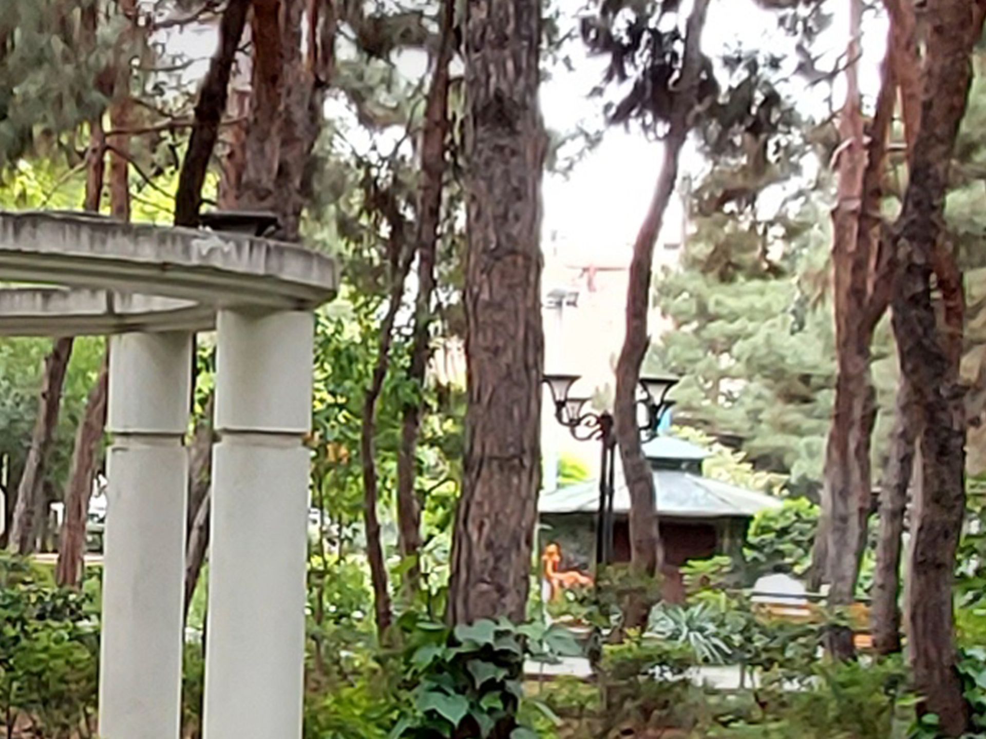 عکس دوربین اولتراواید گلکسی A42 سامسونگ - برش ۲۰۰ درصد