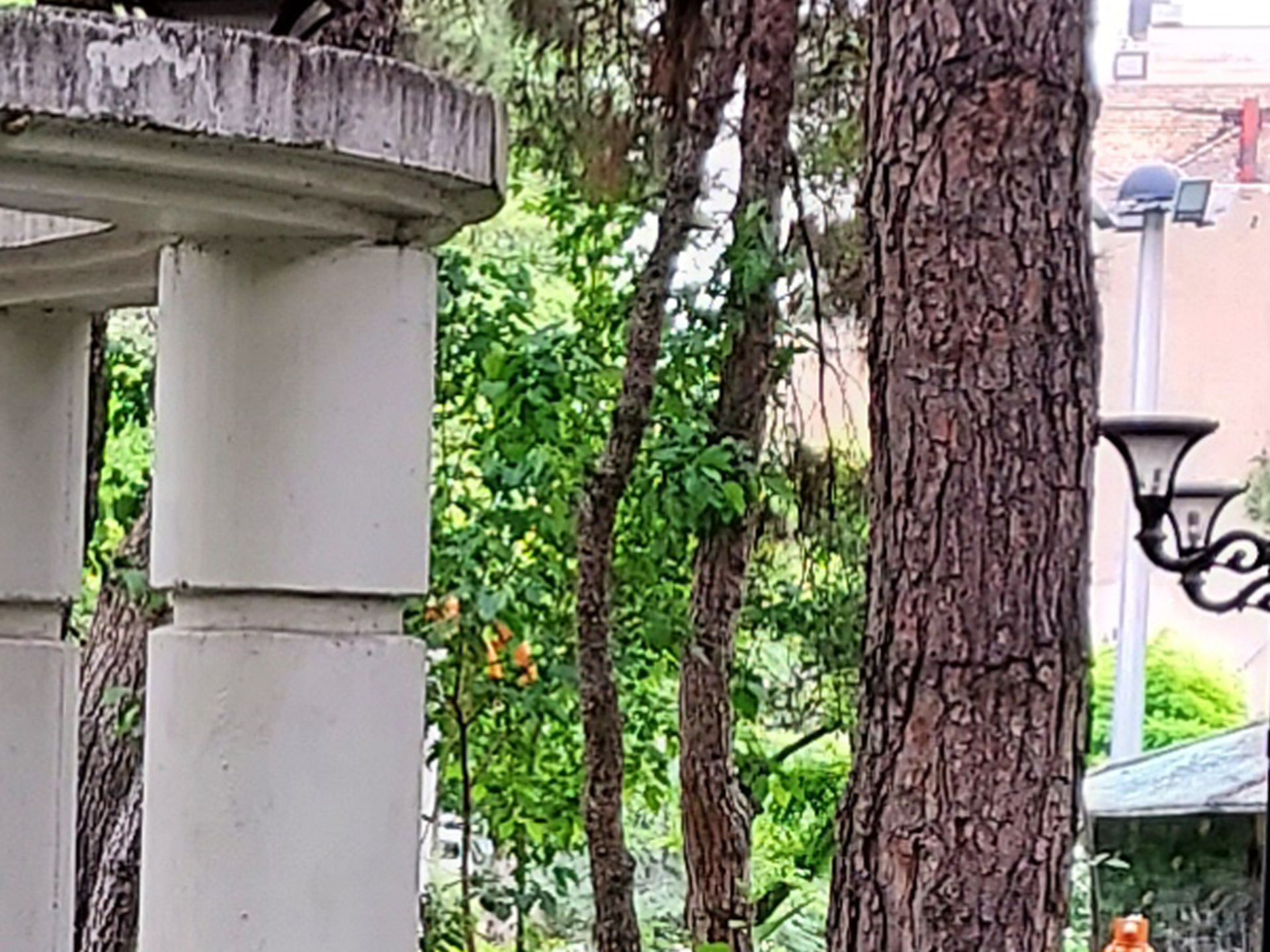 عکس دوربین واید گلکسی A42 سامسونگ - برش ۲۰۰ درصد