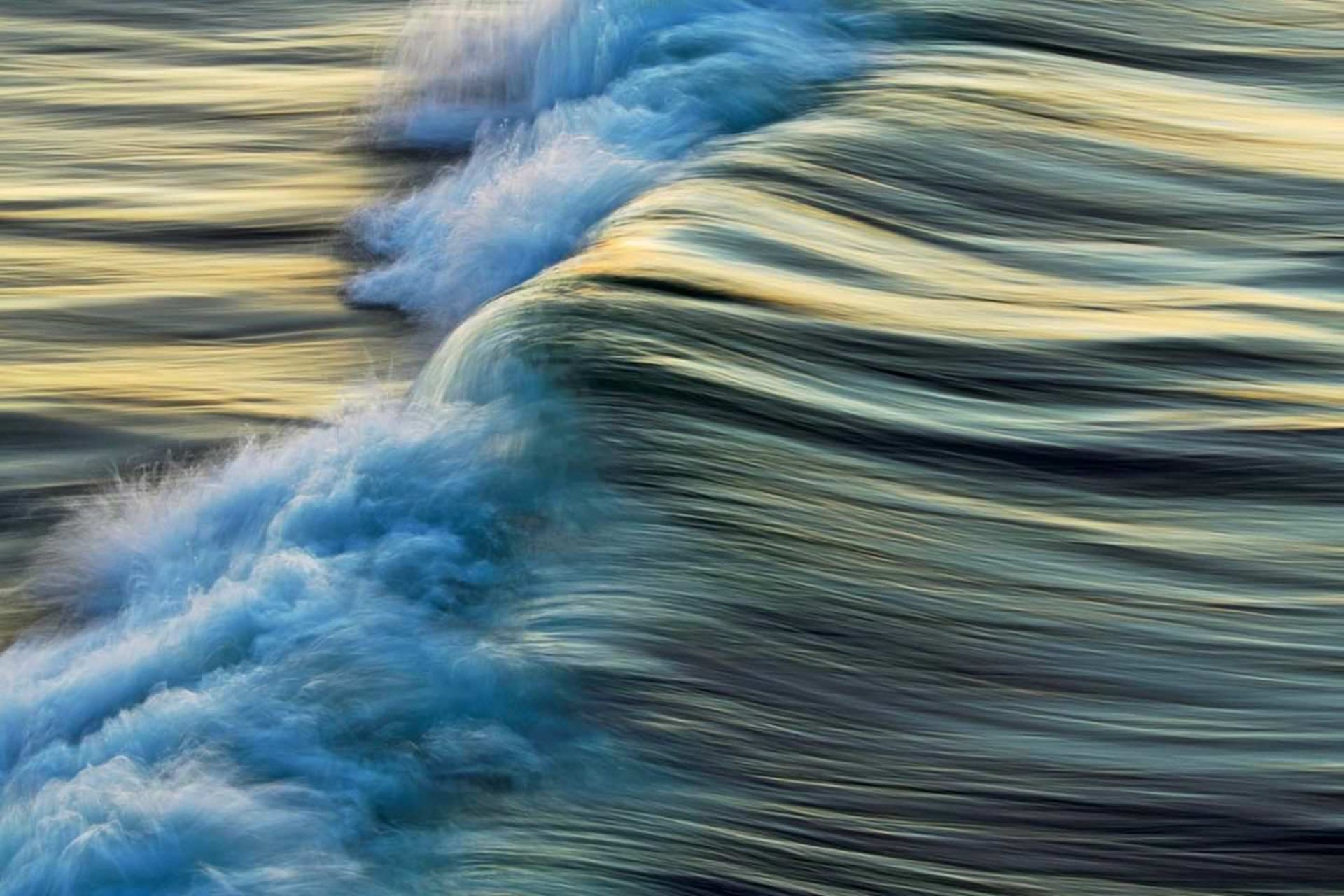 برندگان مسابقه‌ی عکاسی طبیعت آلمان ۲۰۲۱