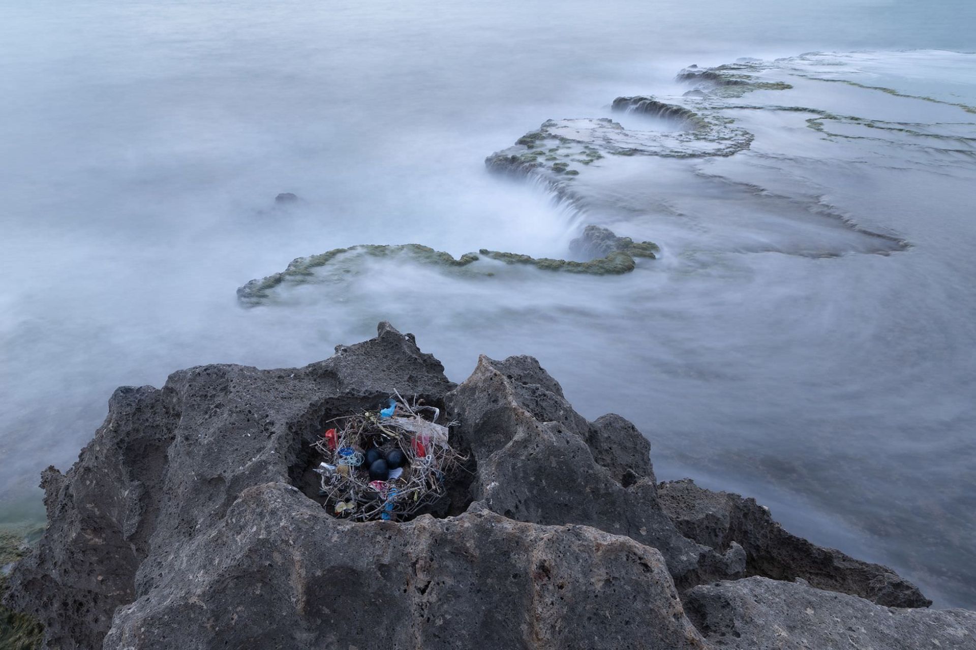 ردپای زندگی در قلمرو‌ی مرگ/ ماکسیم سایاپین / عکاسی محیط زیستی PA2F  