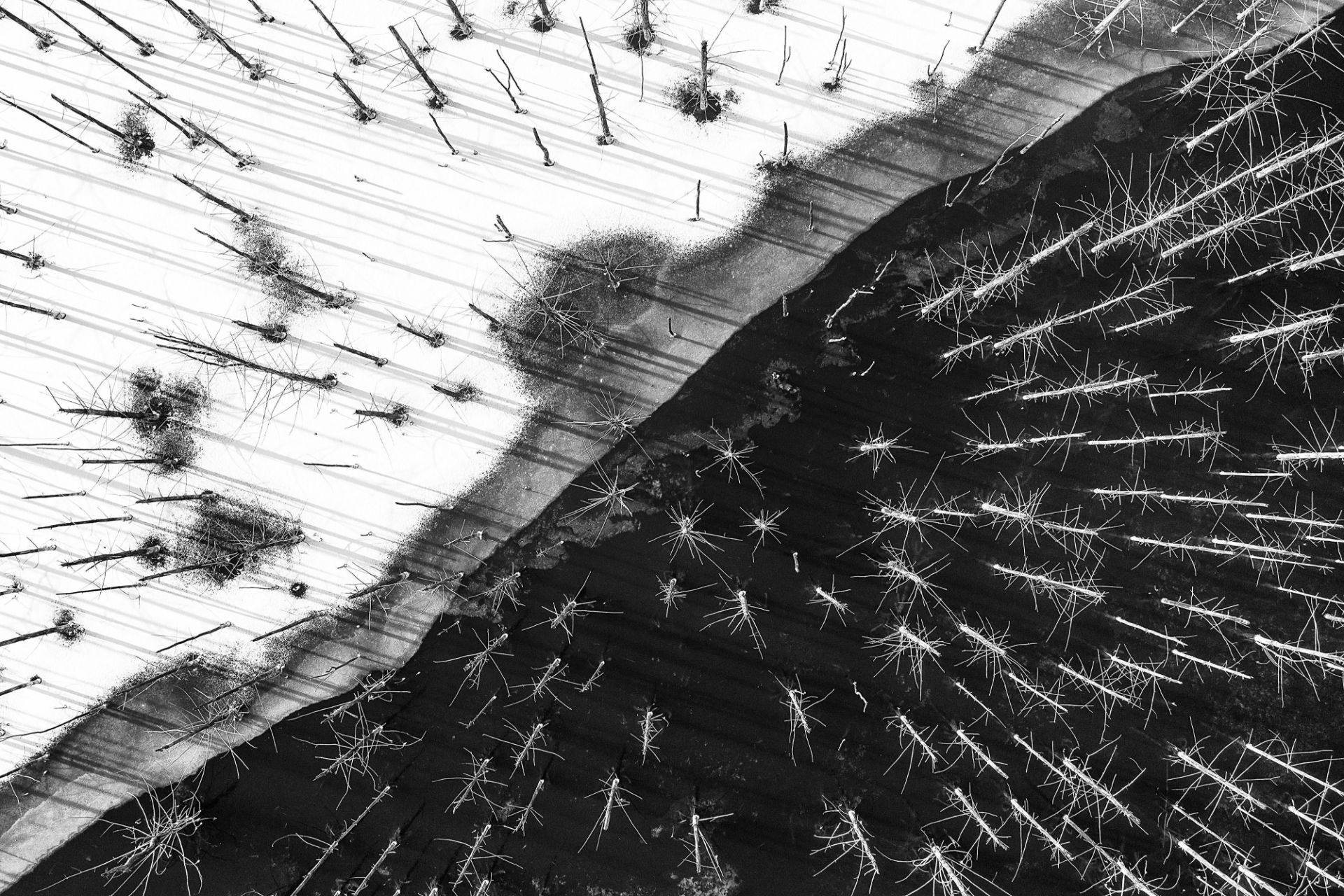 برندگان مسابقات عکاسی مناظر ۲۰۲۰