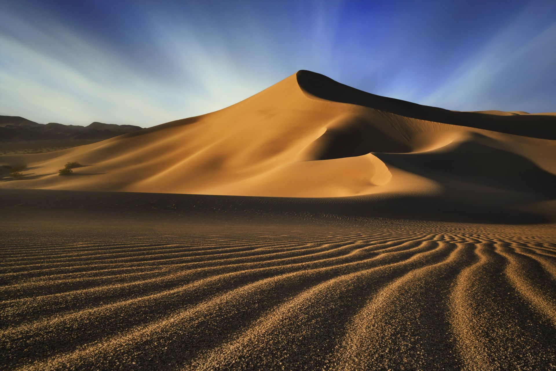 برندگان مسابقات عکاسی مناظر ۲۰۲۰