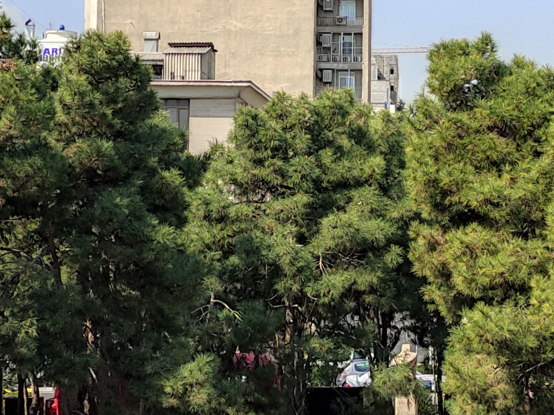 کراپ ۱۰۰ درصدی عکس دوربین واید پوکو X3