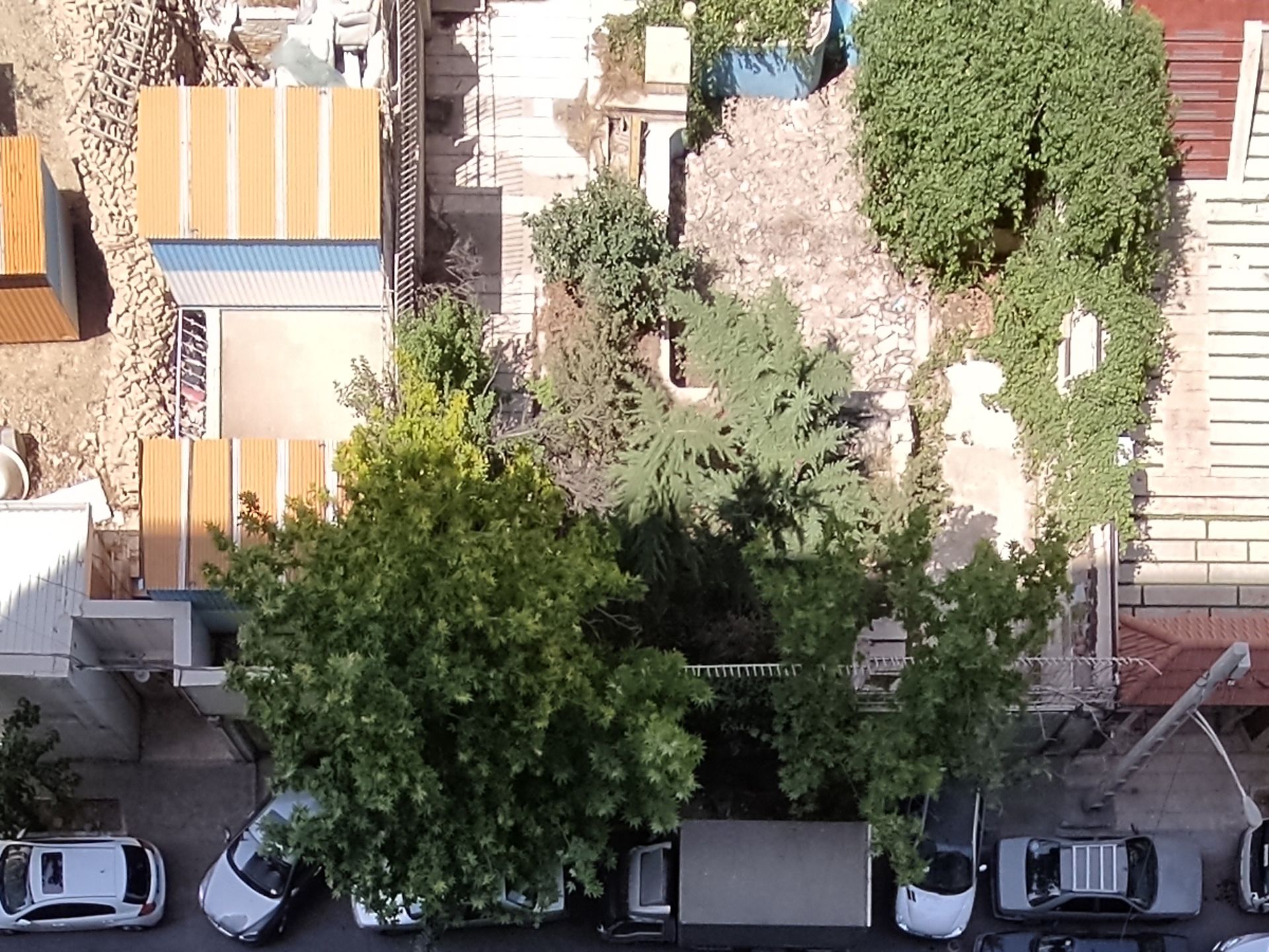 کراپ ۱۰۰ درصدی عکس نمونه دوربین اولتراواید پوکو X3 پرو - دفتر زومیت